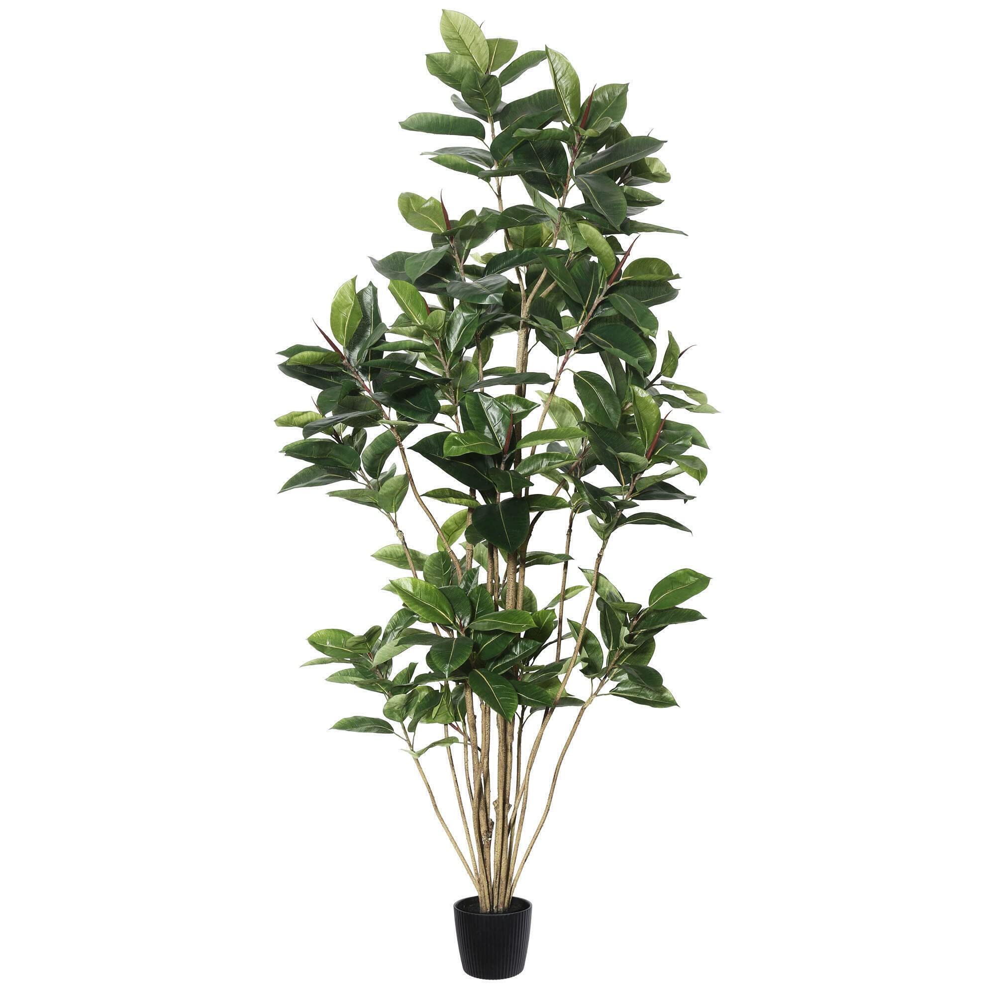 Casafoyer 7-Foot Potted Artificial Green Rubber Tree - Elegant Faux Indoor Plant ( Pack of 2 )