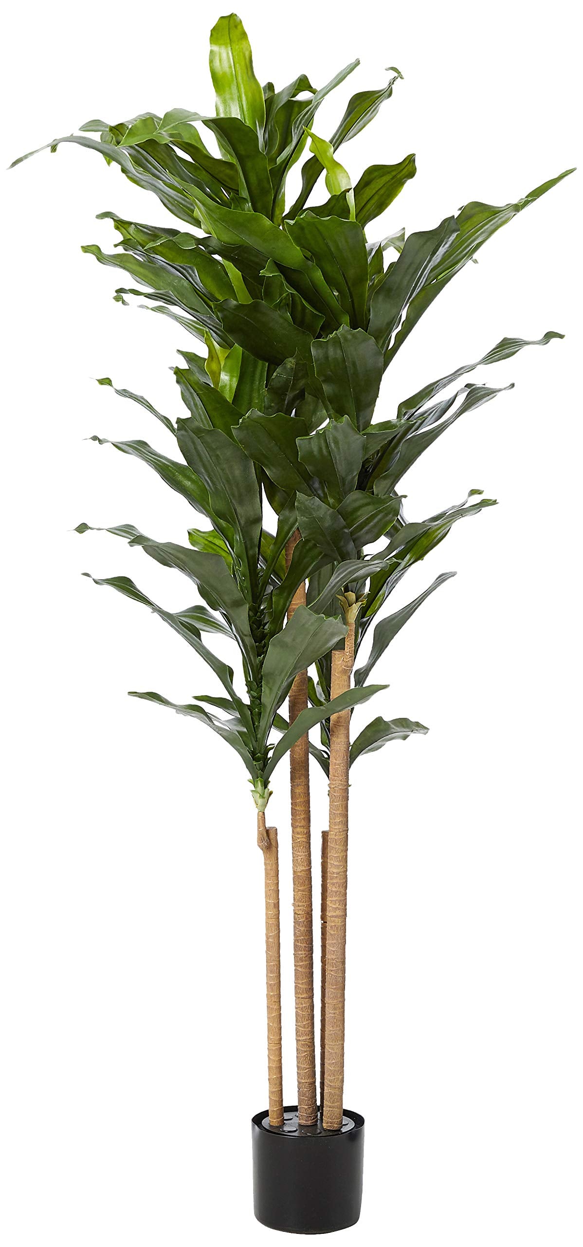 5″ Dracaena Plant UV Resistant (Indoor/Outdoor)