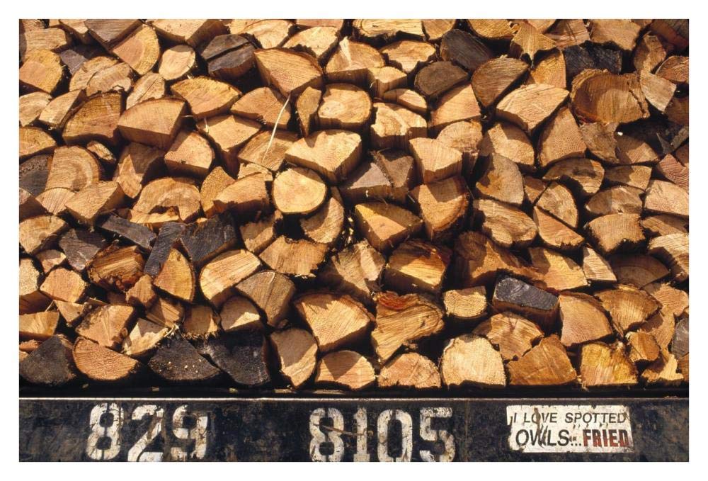 Firewood hauled from clearcut on truck bed with I Love Spotted Owls, Fried bumper sticker, Suislaw National Forest, Oregon-Paper Art-38x26”