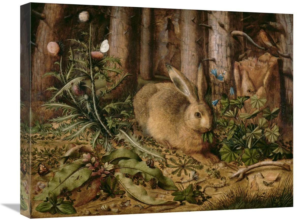 A Hare in the Forest-Canvas Art-24x20”