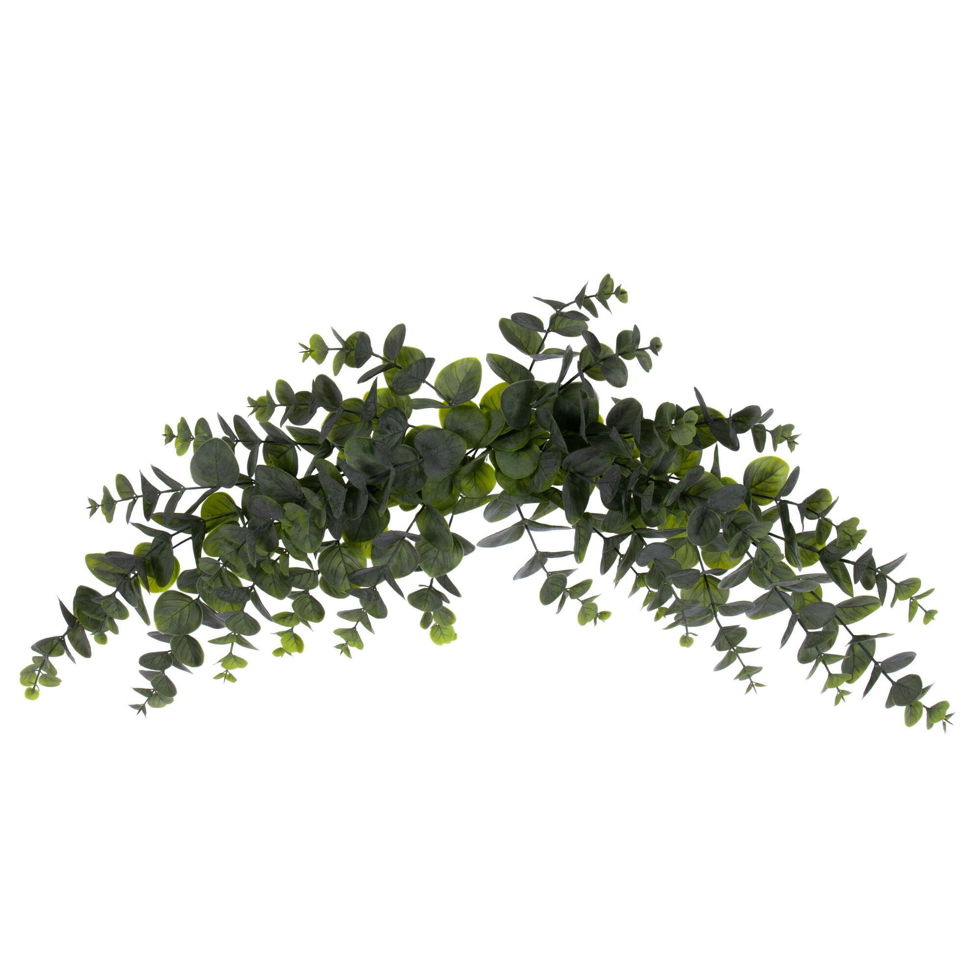 Casafoyer 32” Green Spiral Euclyptus Crescent Swag - (Pack Of 2)