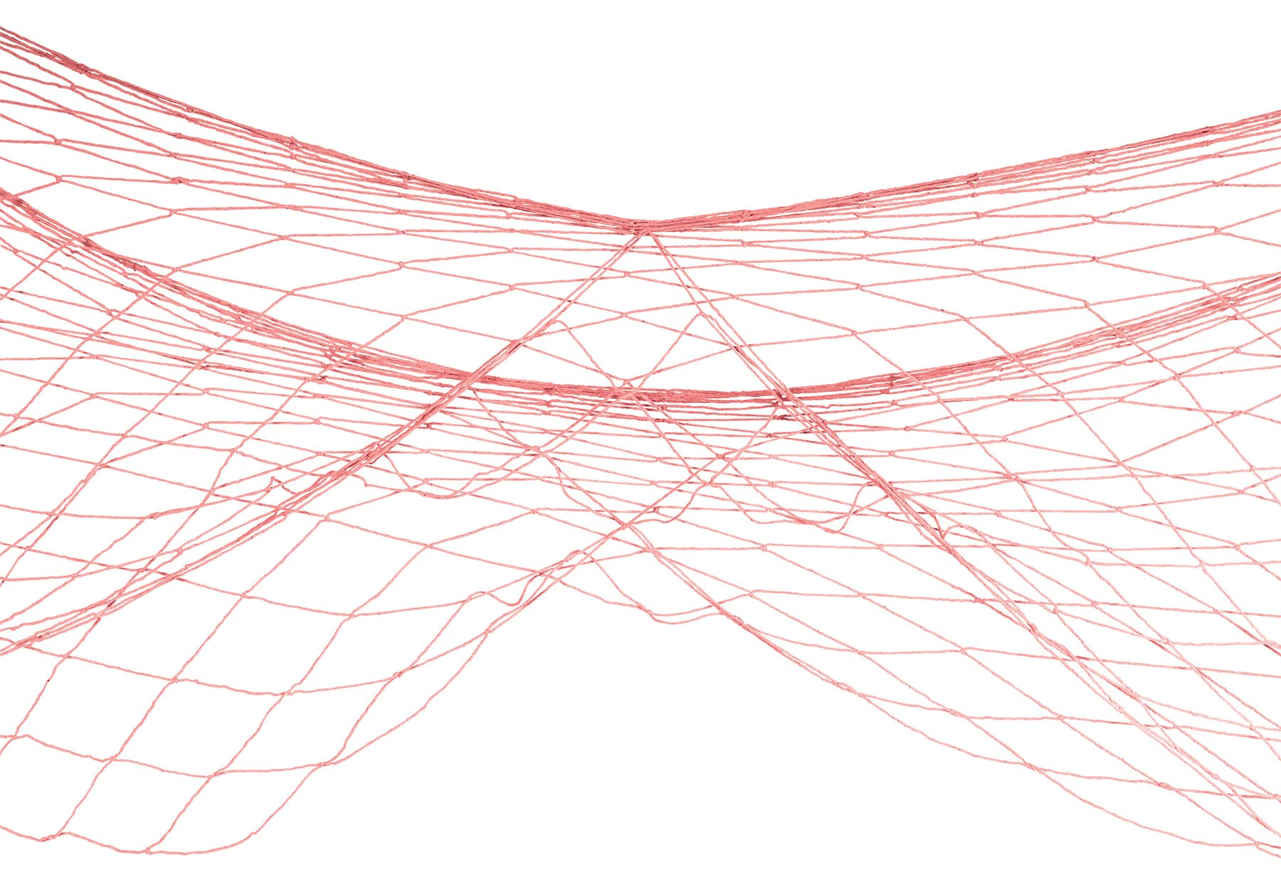 Fish Netting