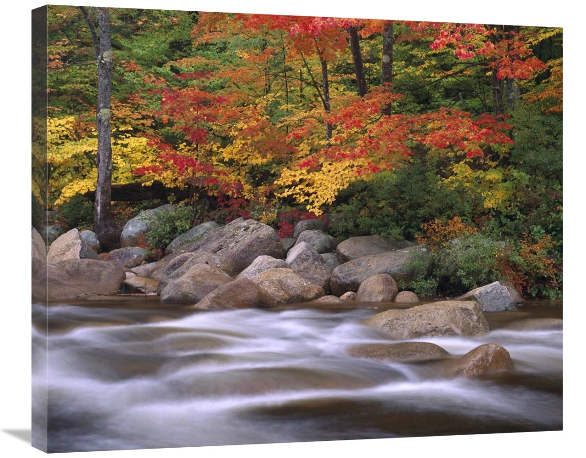 Autumn along Swift River, White Mountains National Forest, New Hampshire-Canvas Art-30x24.9”