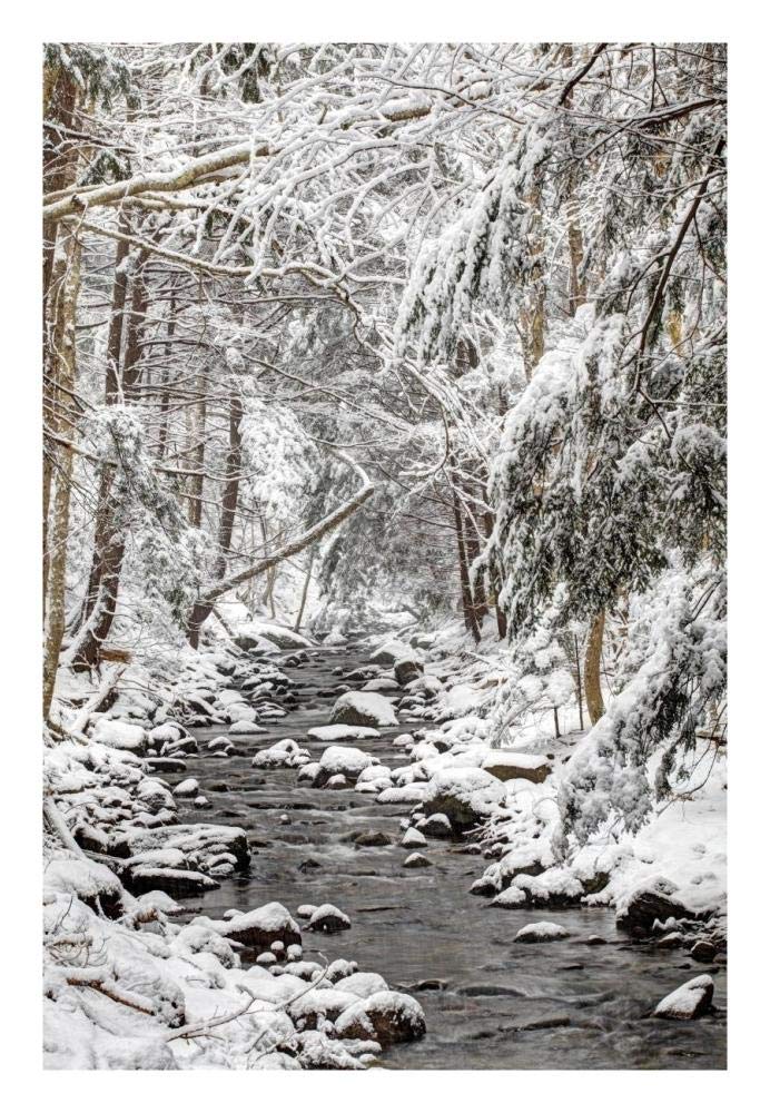 Stream in winter, Nova Scotia, Canada-Paper Art-18x26”