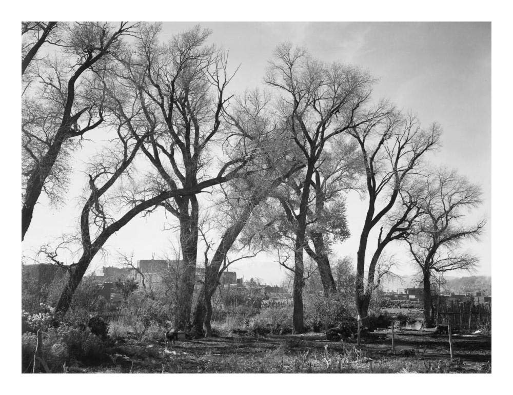 At Taos Pueblo National Historic Landmark, New Mexico, ca. 1941-1942-Paper Art-24x19”