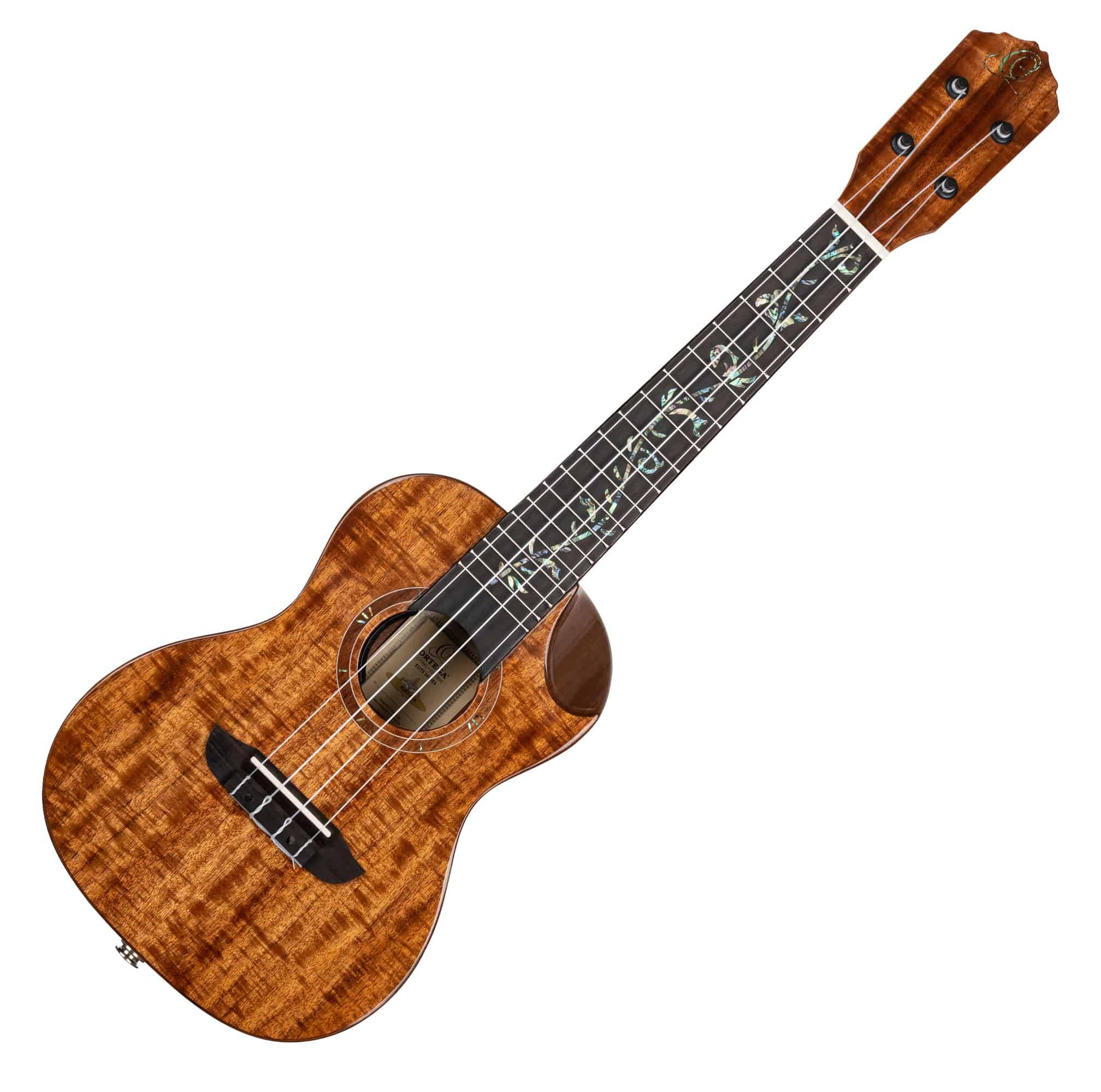 Elite Series Concert Acoustic-Electric Ukulele with Bag