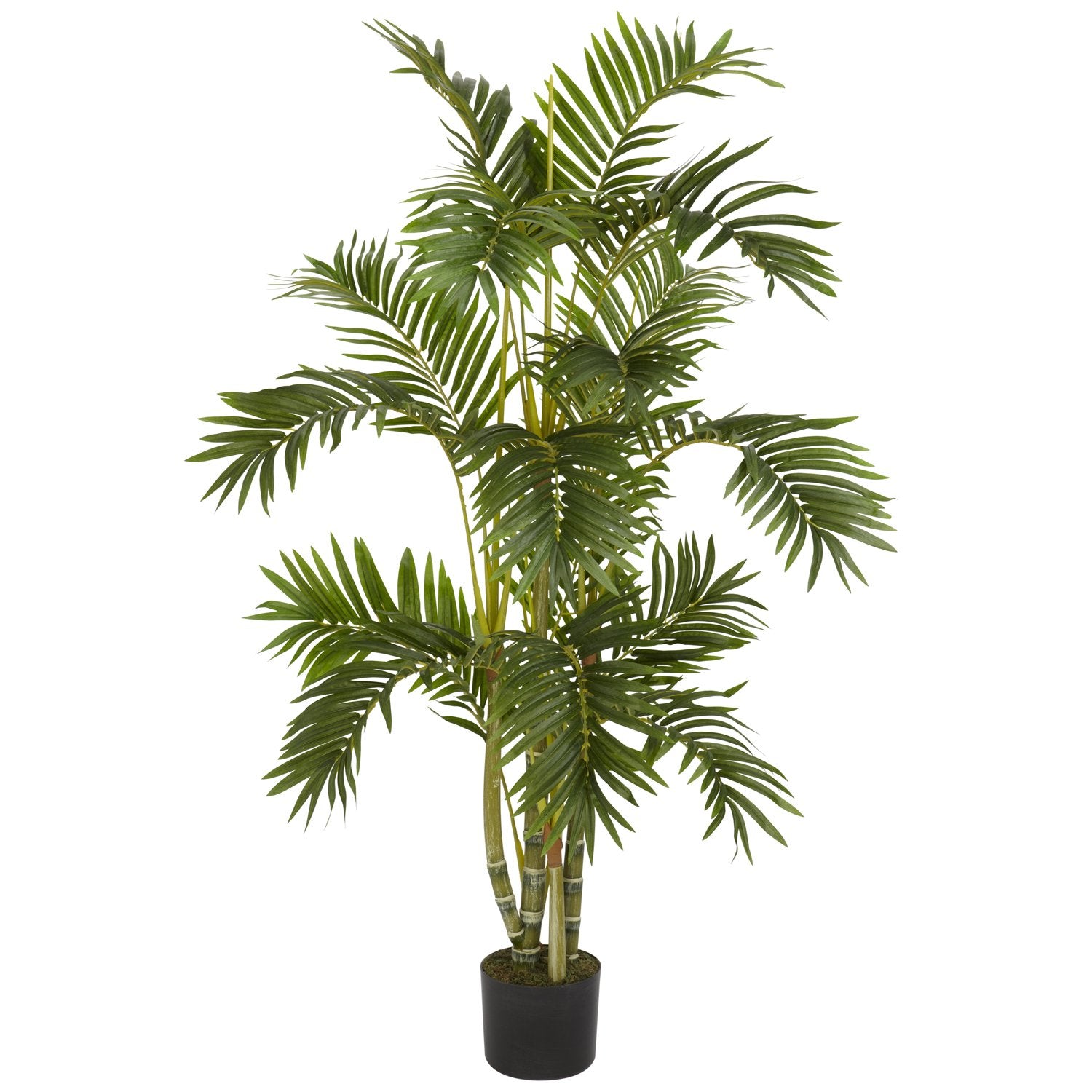 4 Areca Palm Silk Tree