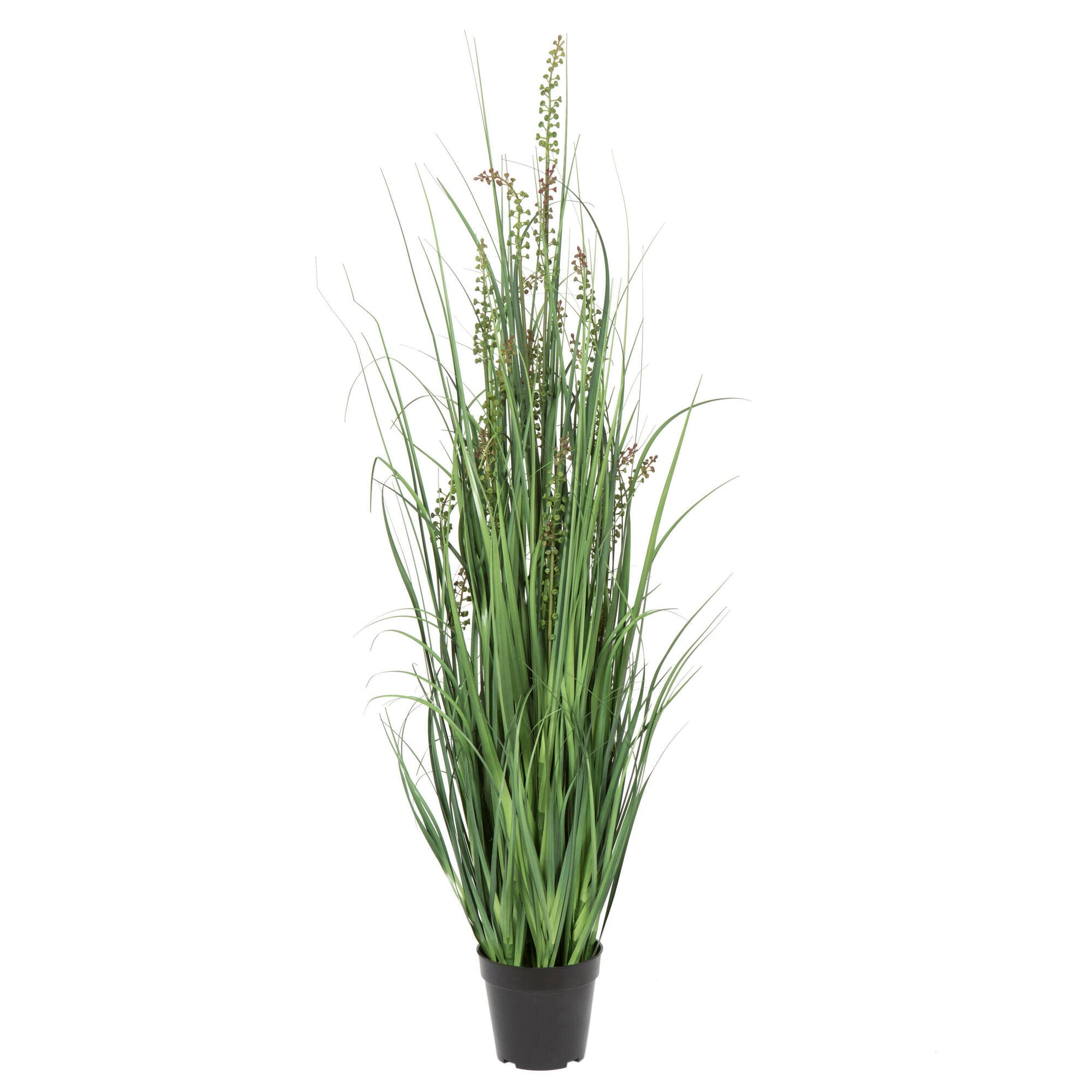 Casafoyer  48” Green Sheep's Grass in Pot - TN171248 - (Pack Of 2)