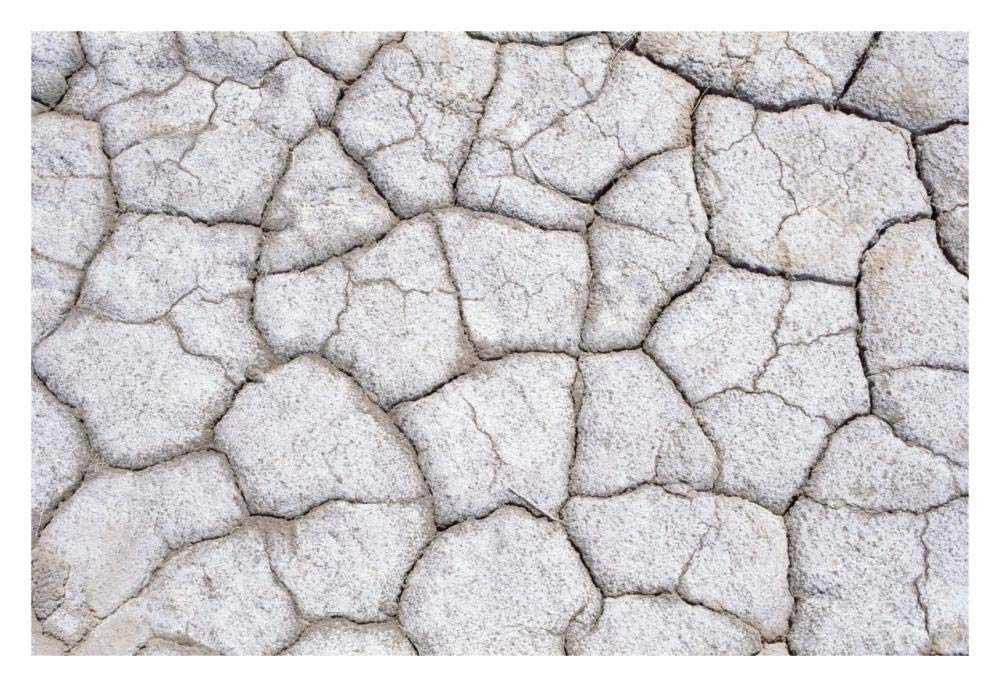 Dry and cracked ground pattern, California-Paper Art-32x22”