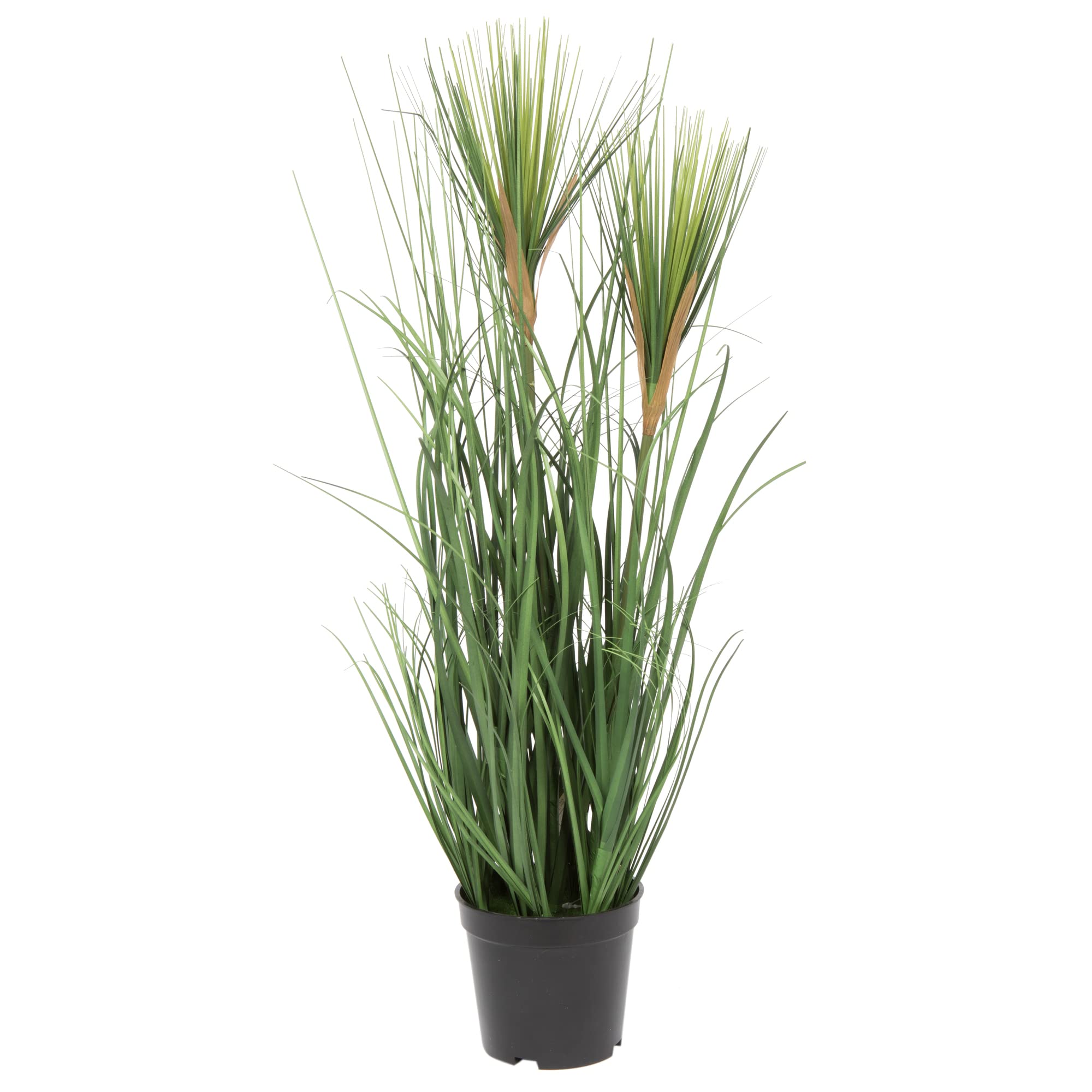 Casafoyer  24” Green Brushed Grass in Pot - TN170424 - (Pack Of 2)