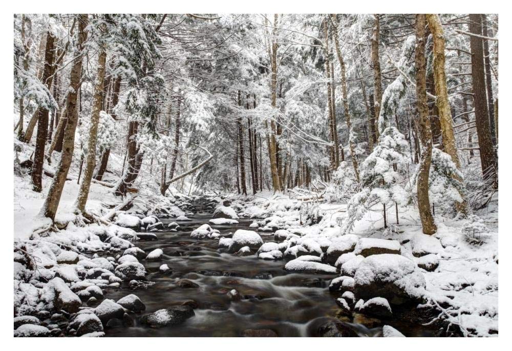 Stream in winter, Nova Scotia, Canada-Paper Art-38x26”