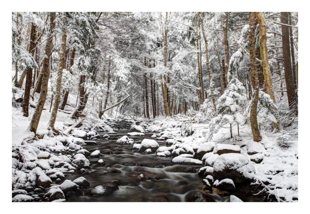 Stream in winter, Nova Scotia, Canada-Paper Art-26x18”