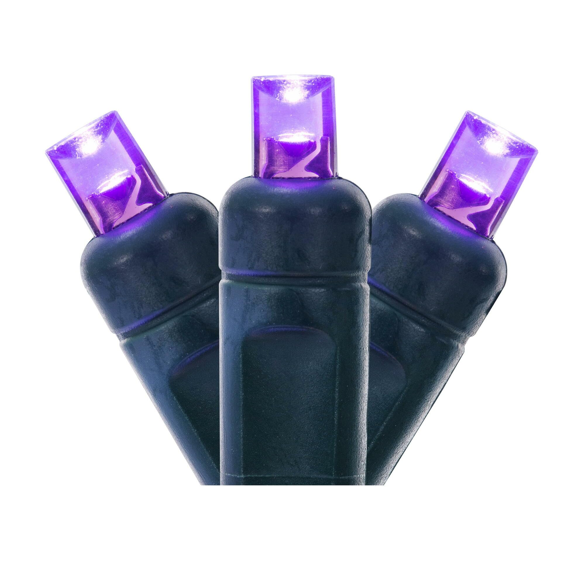 Casafoyer  50Lt LED Purple Twinkle W-A EC 6”Sp 25'L - X6G6706T - (Pack Of 2)