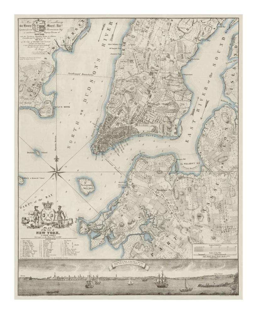 Plan of the City of New York, copied from the Ratzer Map - Decorative Blue Shading-Paper Art-18x22”