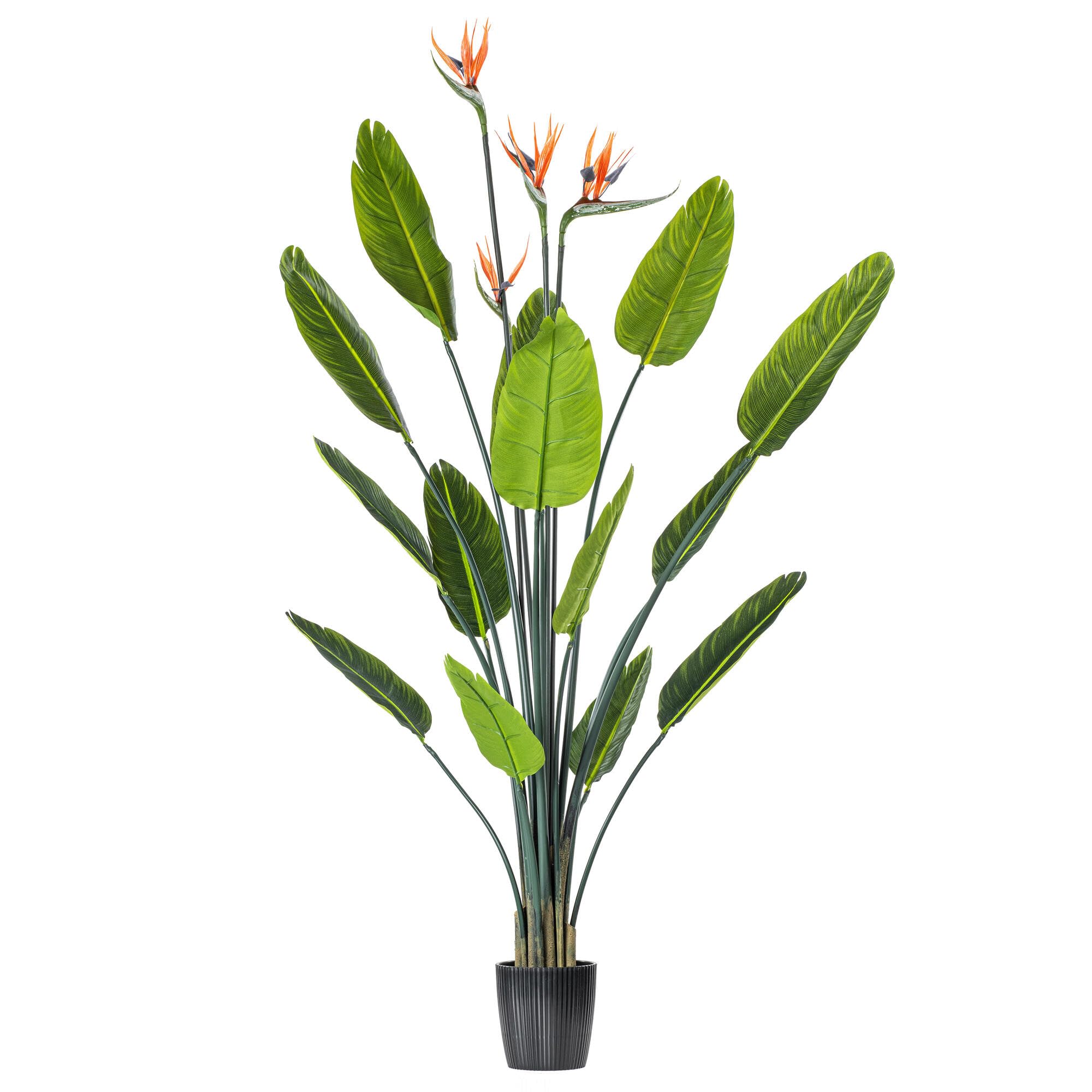 Casafoyer 5' Artificial Bird of Paradise Palm Tree in Black Planter ( Pack of 2 )