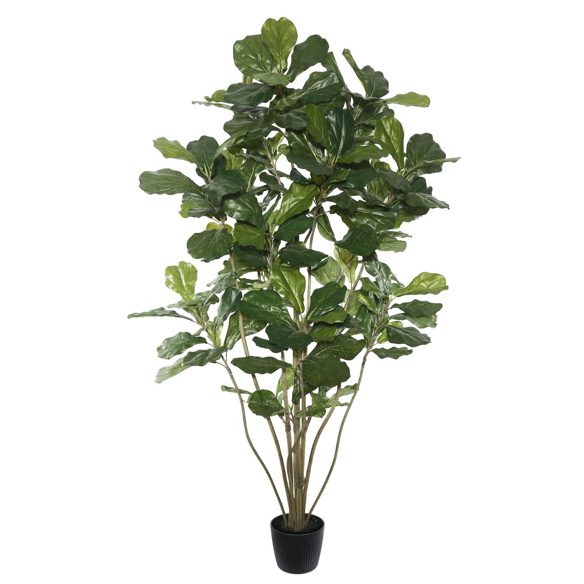 Casafoyer 6ft Artificial Fiddle Leaf Fig Tree - Lifelike Indoor Decor ( Pack of 2 )