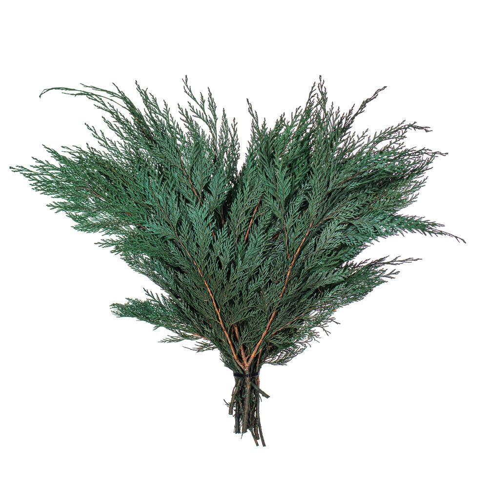 Casafoyer 18-24” Port Orford Cedar Branches - 16oz - (Pack Of 2)