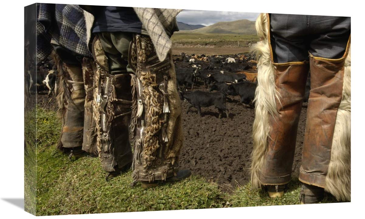 Ocelot fur and goat hair on chaps worn by Chagras, Andes Mountains, Ecuador-Canvas Art-24x16”