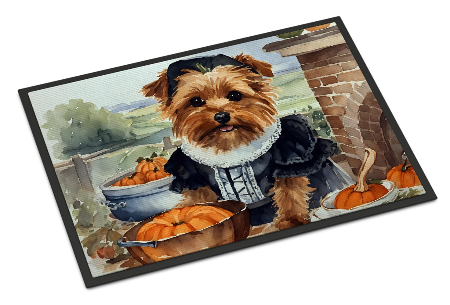 Carolines Treasures DAC1795JMAT Norfolk Terrier Fall Kitchen Pumpkins Indoor or Outdoor Mat 24x36 Front Door Mat Indoor Outdoor Rugs for Entryway, Non Slip Washable Low Pile
