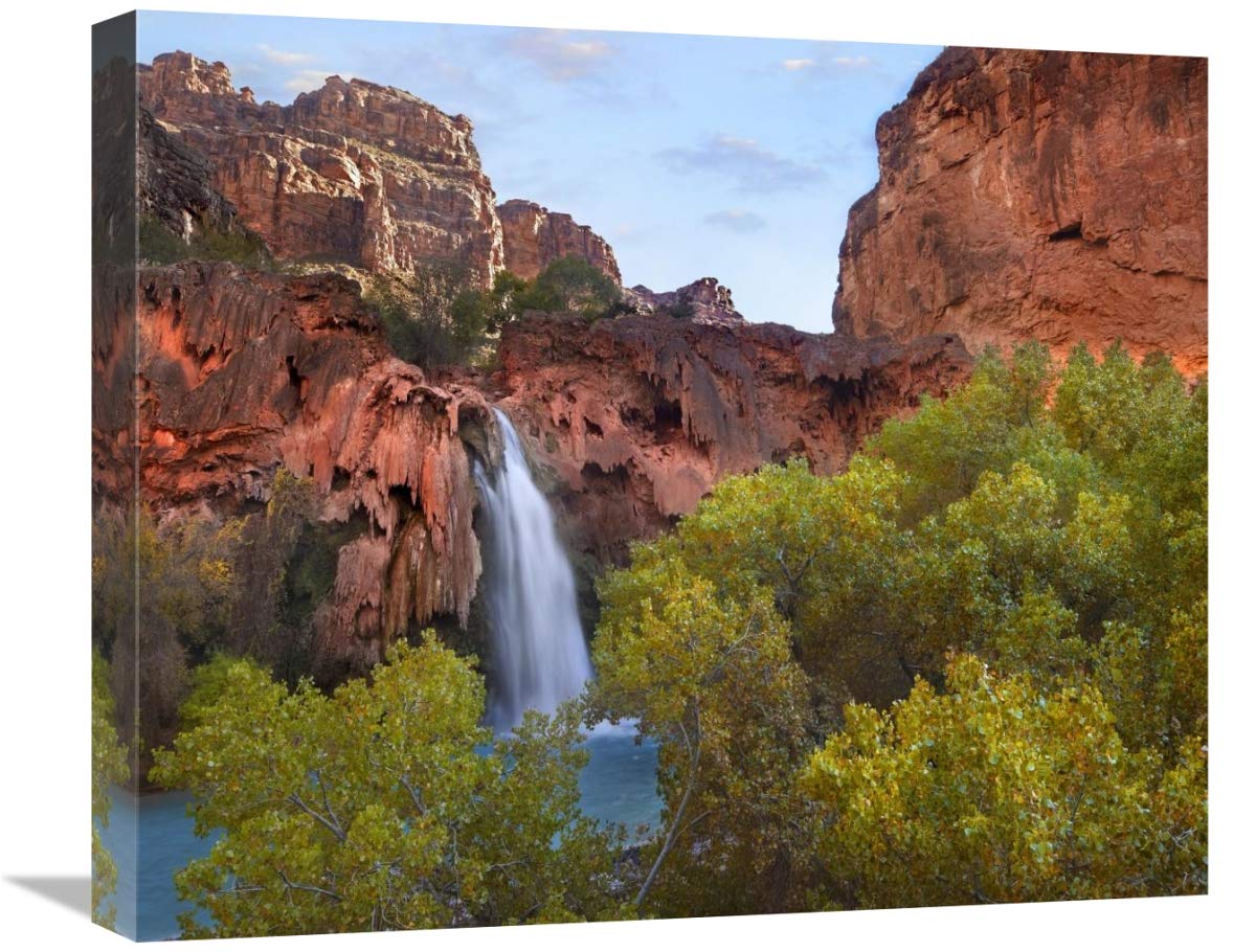 Havasu Falls, Grand Canyon, Arizona-Canvas Art-22x18.26”