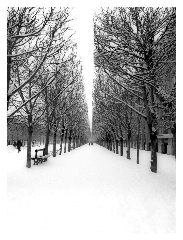 The Tuileries Garden under the snow, Paris-Paper Art-14x18”