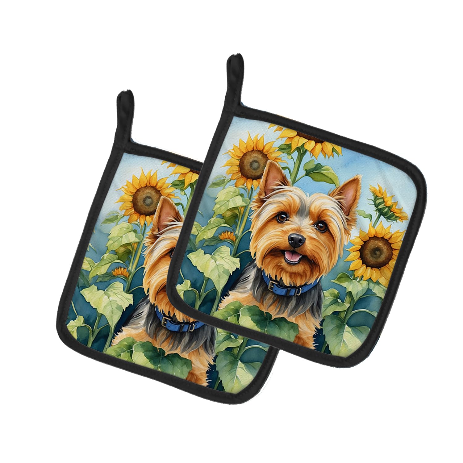 Silky Terrier in Sunflowers Pair of Pot Holders