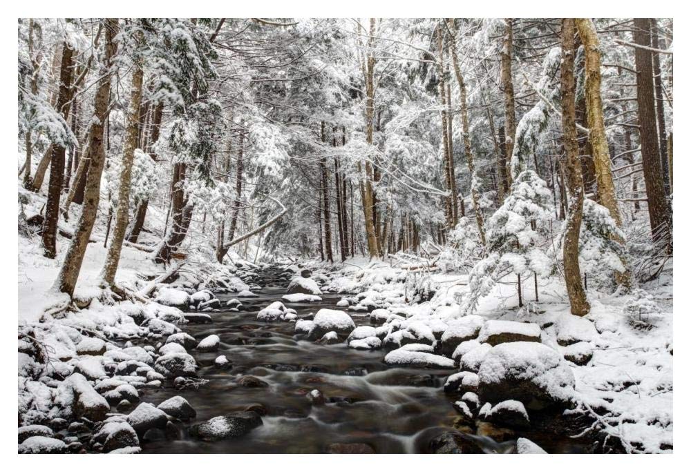 Stream in winter, Nova Scotia, Canada-Paper Art-20x14”