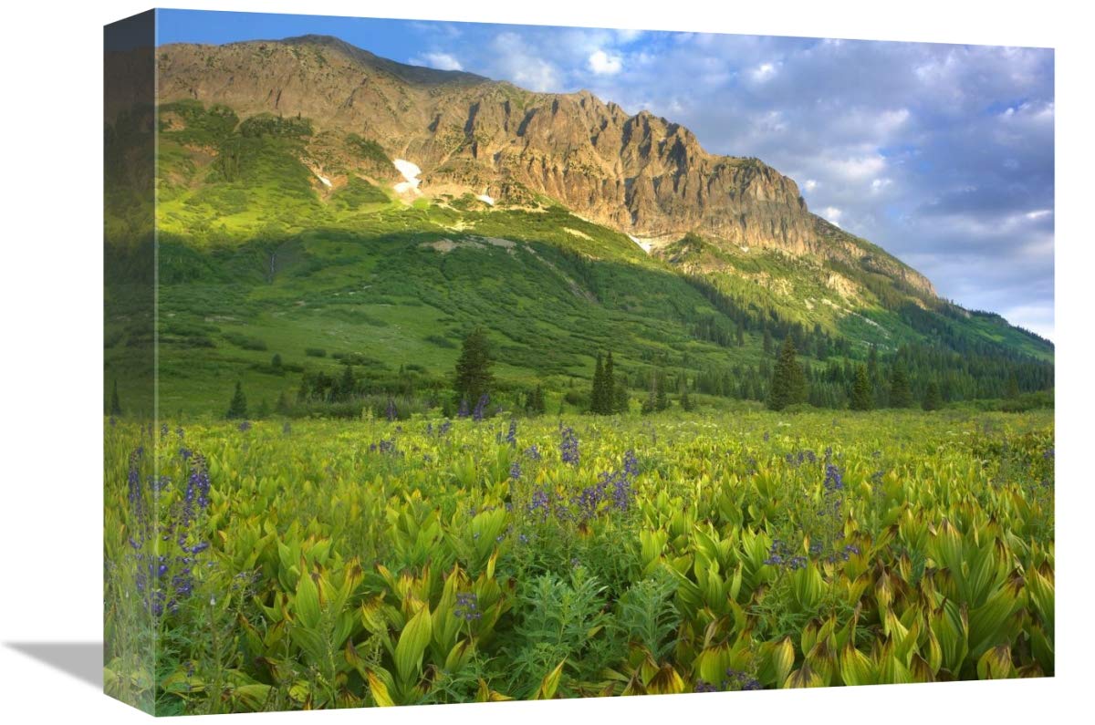 Gothic Mountain overlooking meadow near Crested Butte, Colorado-Canvas Art-16x12”