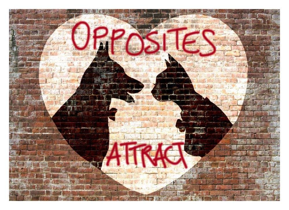 Opposites attract-Paper Art-32x23”