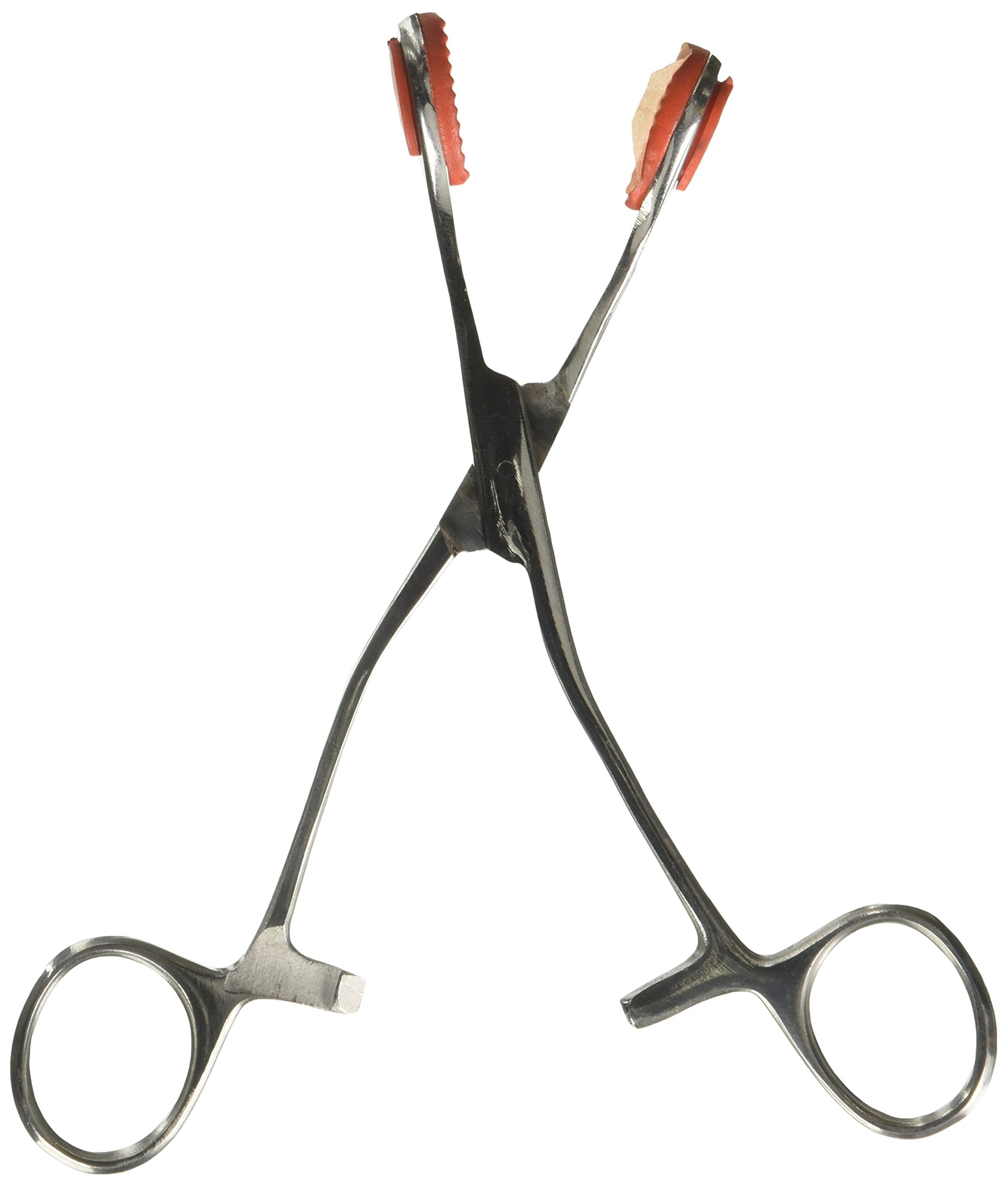 Young Forceps