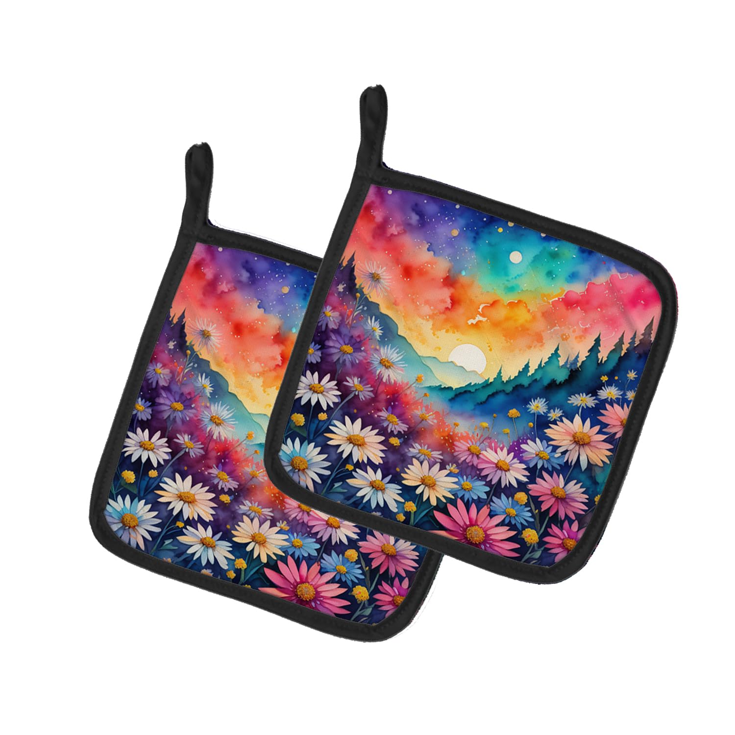 Colorful Asters Pair of Pot Holders