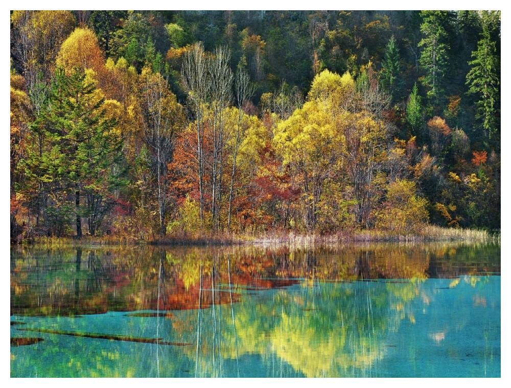 Forest in autumn colours, Sichuan, China-Paper Art-50x38”