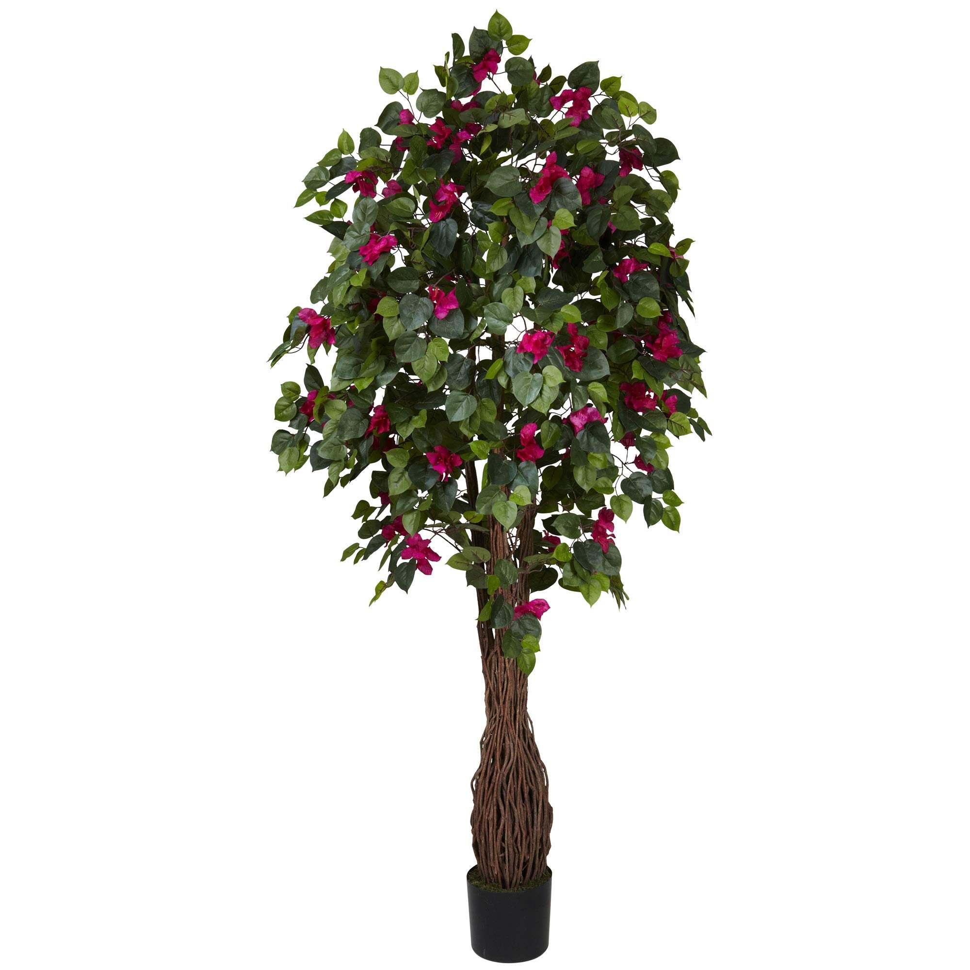 6 Multi Vine Bougainvillea Silk Tree
