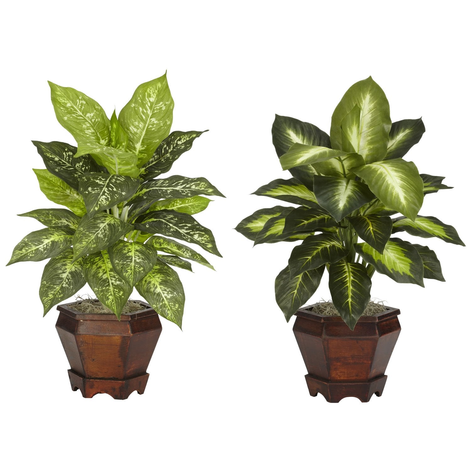 Nearly Natural 6712-AS-S2 Dieffenbachia with Wood Vase Decorative Silk Plant, Assorted, Set of 2