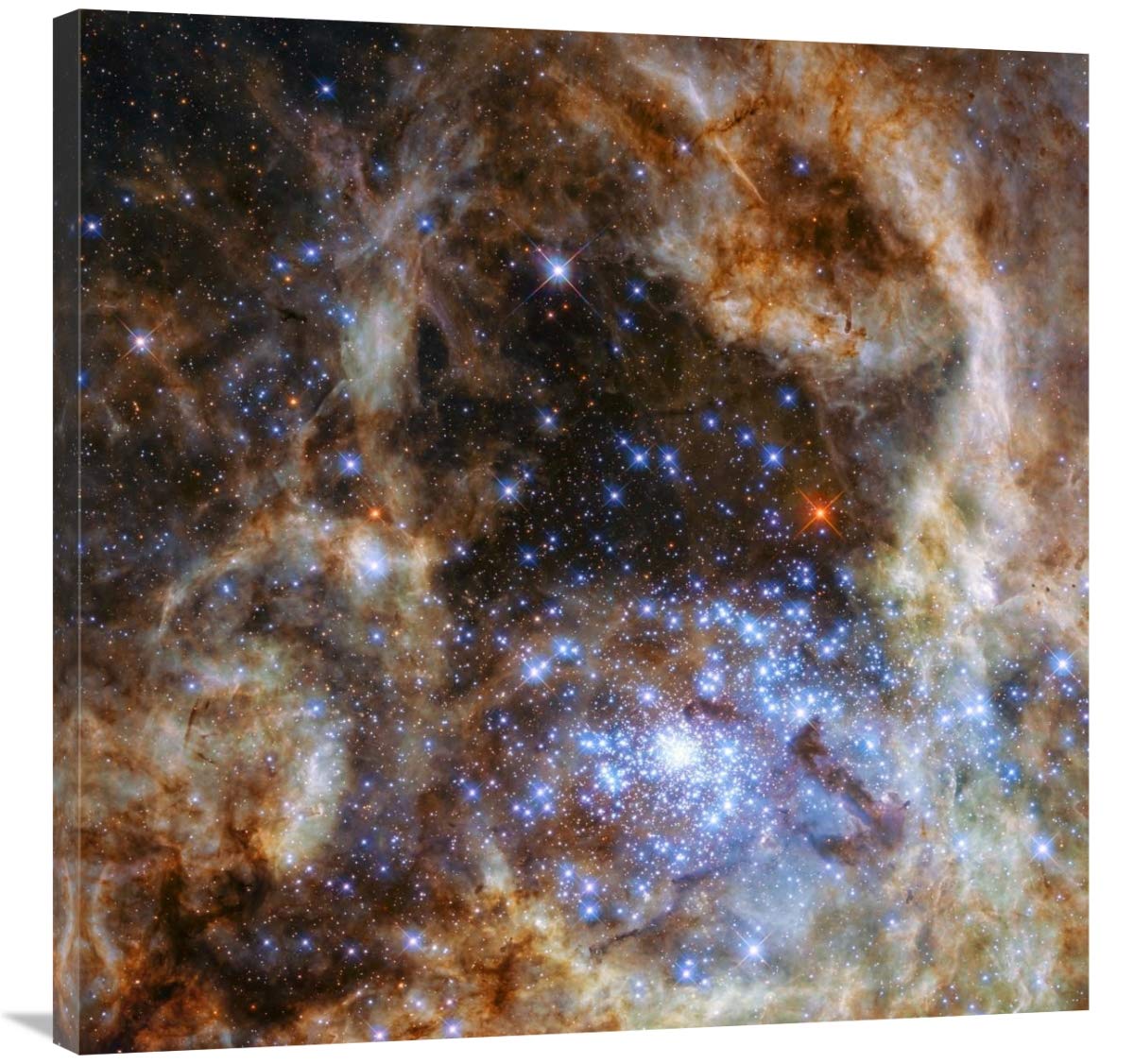 Star Cluster R136-Canvas Art-36x36”