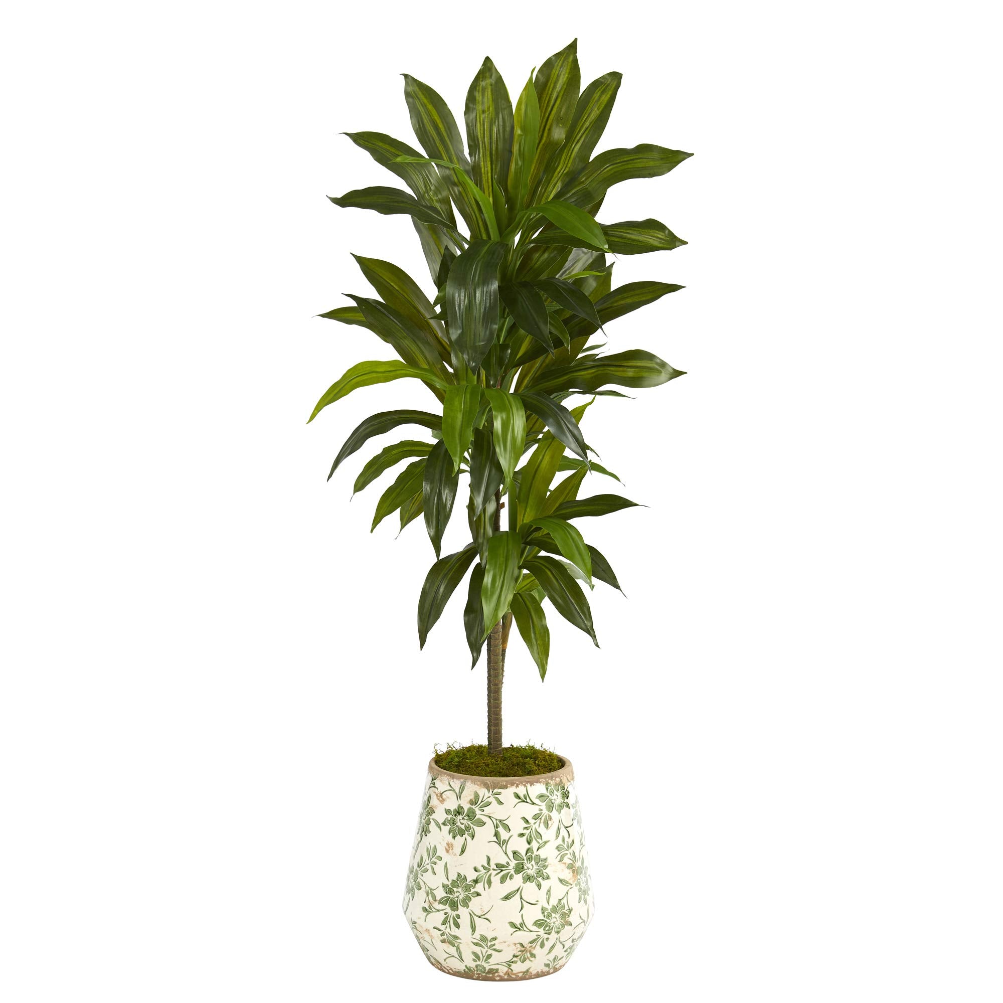 4 Dracaena Artificial Plant in Flower Print Planter (Real Touch)