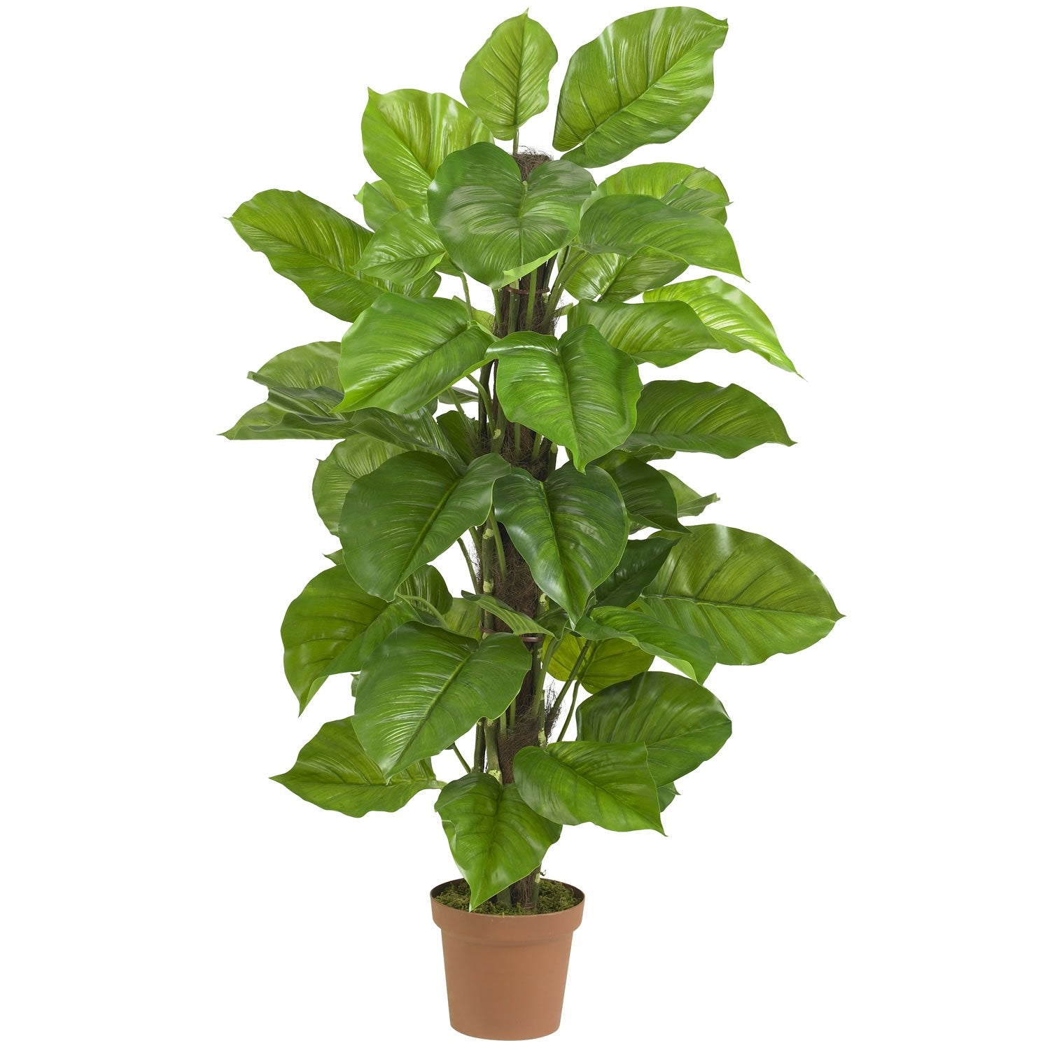 52″ Large Leaf Philodendron Silk Plant(Real Touch)