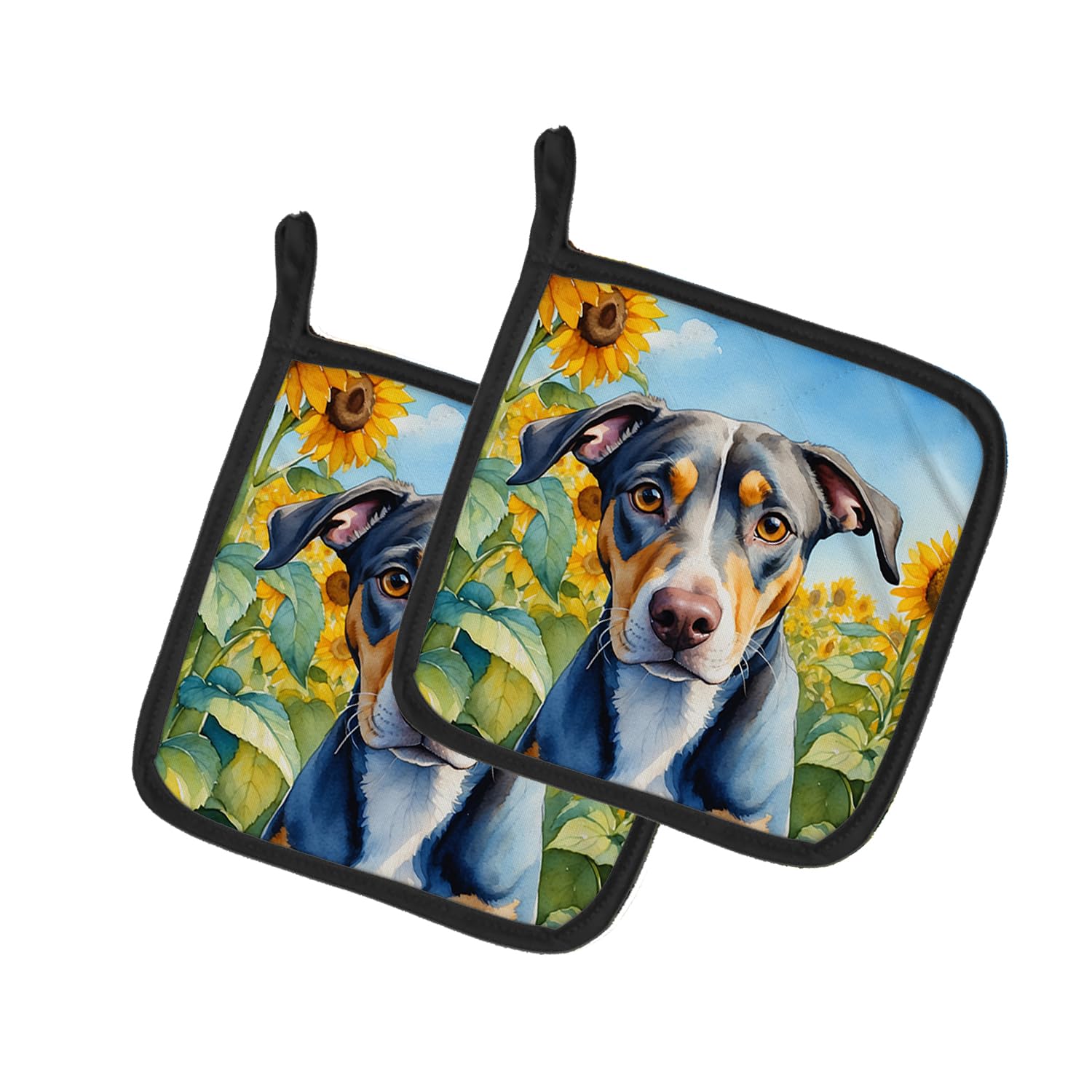 Catahoula in Sunflowers Pair of Pot Holders