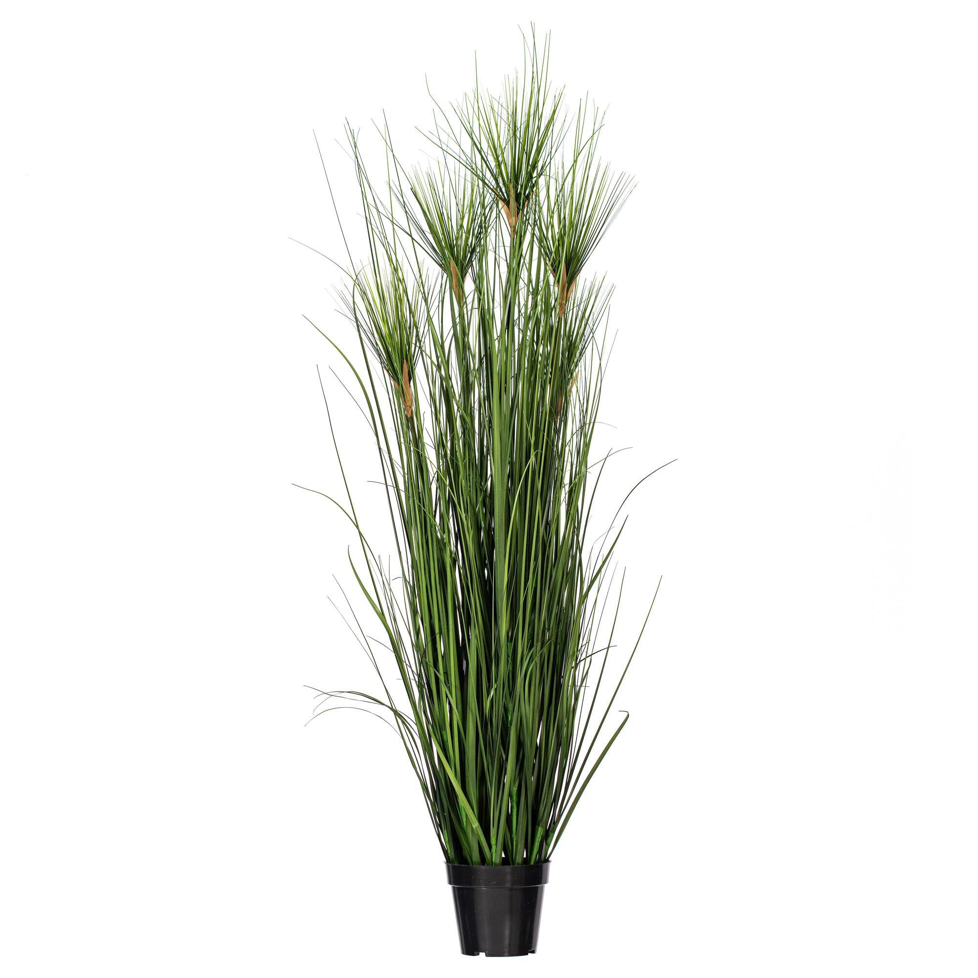 Casafoyer  36” Green Brushed Grass in Pot - TN170436 - (Pack Of 2)