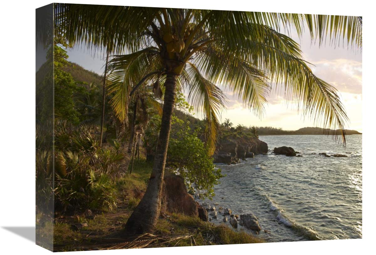 Wilkes Point at sunset with palm trees, Roatan Island, Honduras-Canvas Art-16x12”