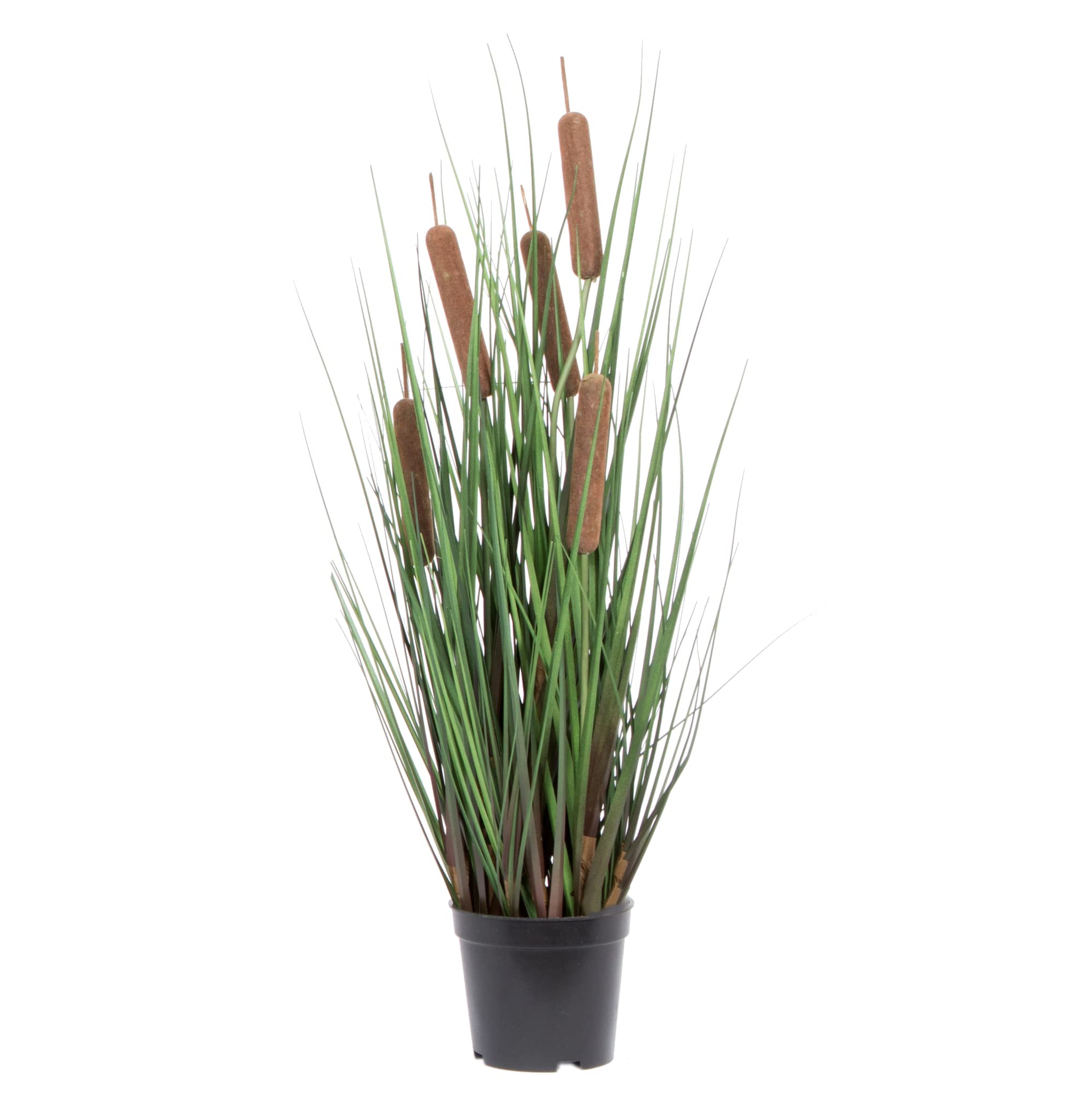 Casafoyer  24” Grass with 5 Cattails Potted - TN170324 - (Pack Of 2)