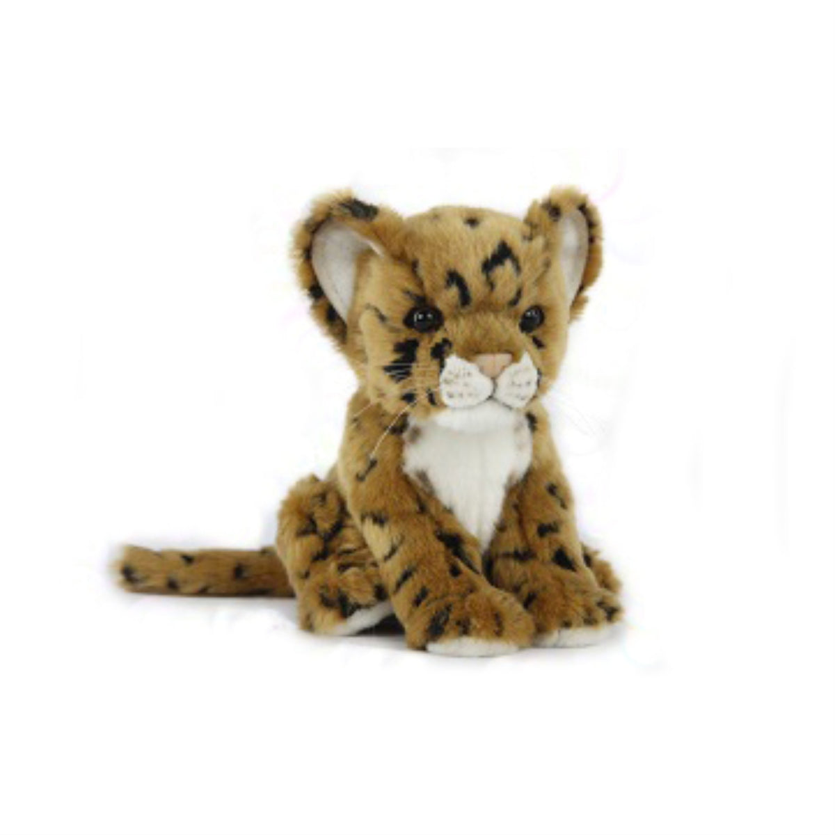Jaguar Cub Brown 17Cm.L