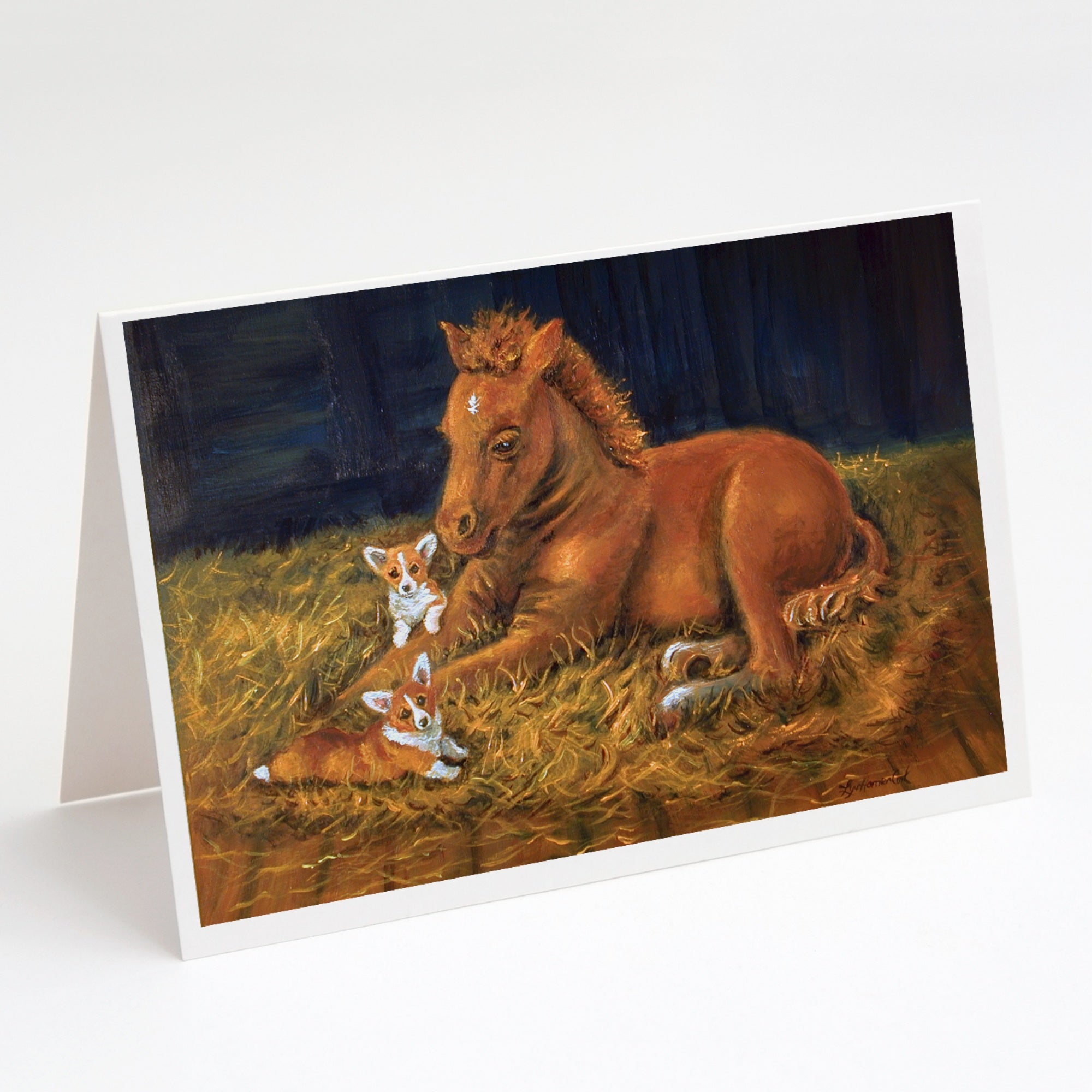 Corgi Sunrise With Colt  Greeting Cards And Envelopes Pack Of 8
