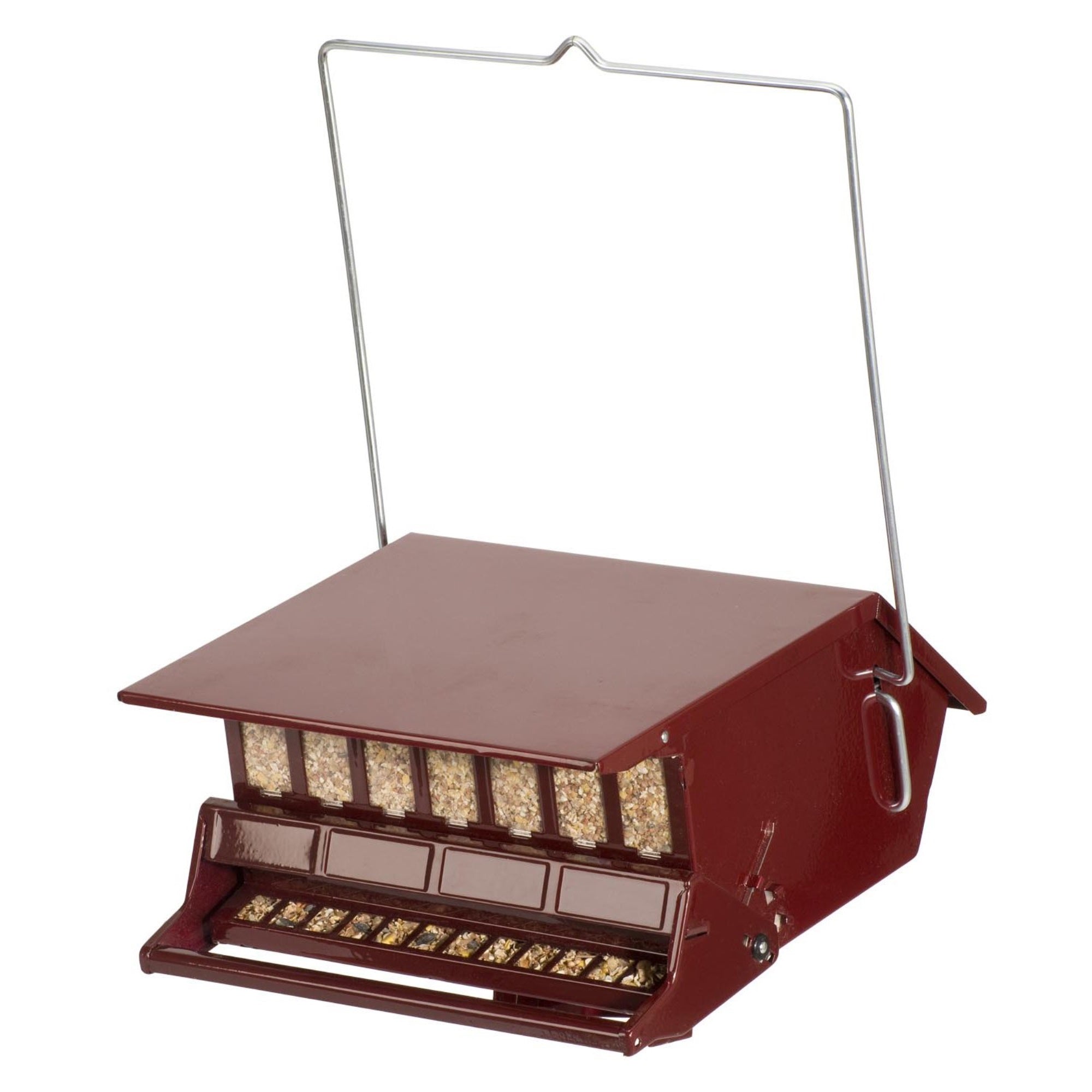 Reflective Red Bird'S Choice