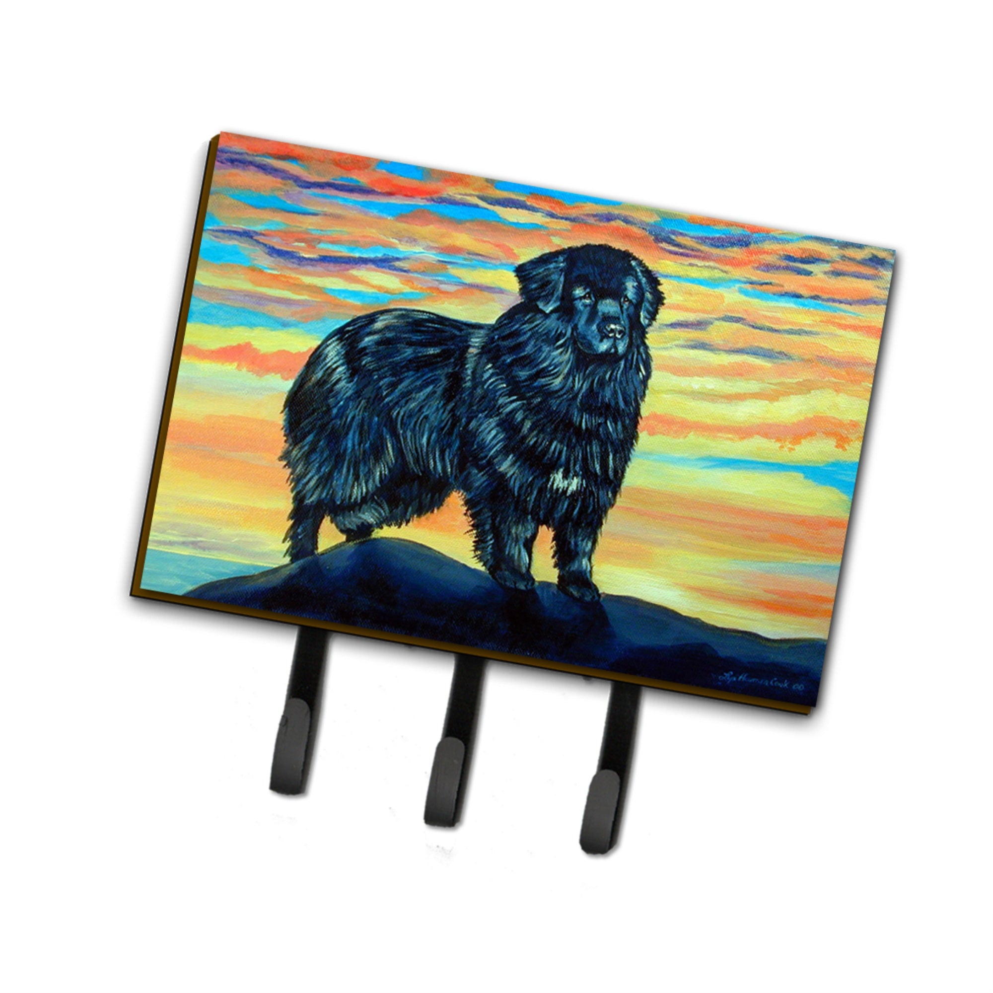 Caroline'S Treasures 7518Th68 Newfoundland Leash Holder Or Key Hook, Large, Multicolor