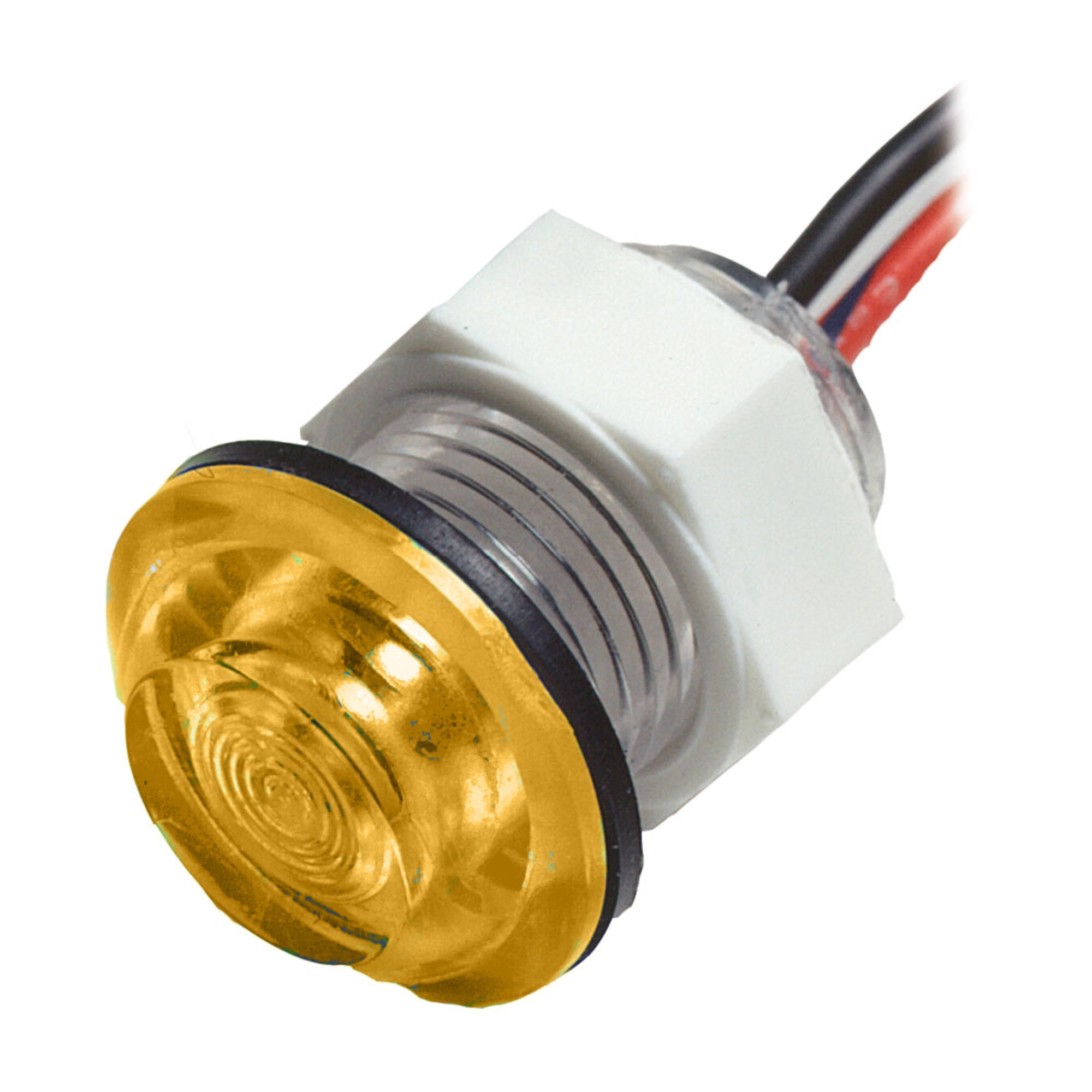 Innovative Lighting Led Bulkhead Live Well Light