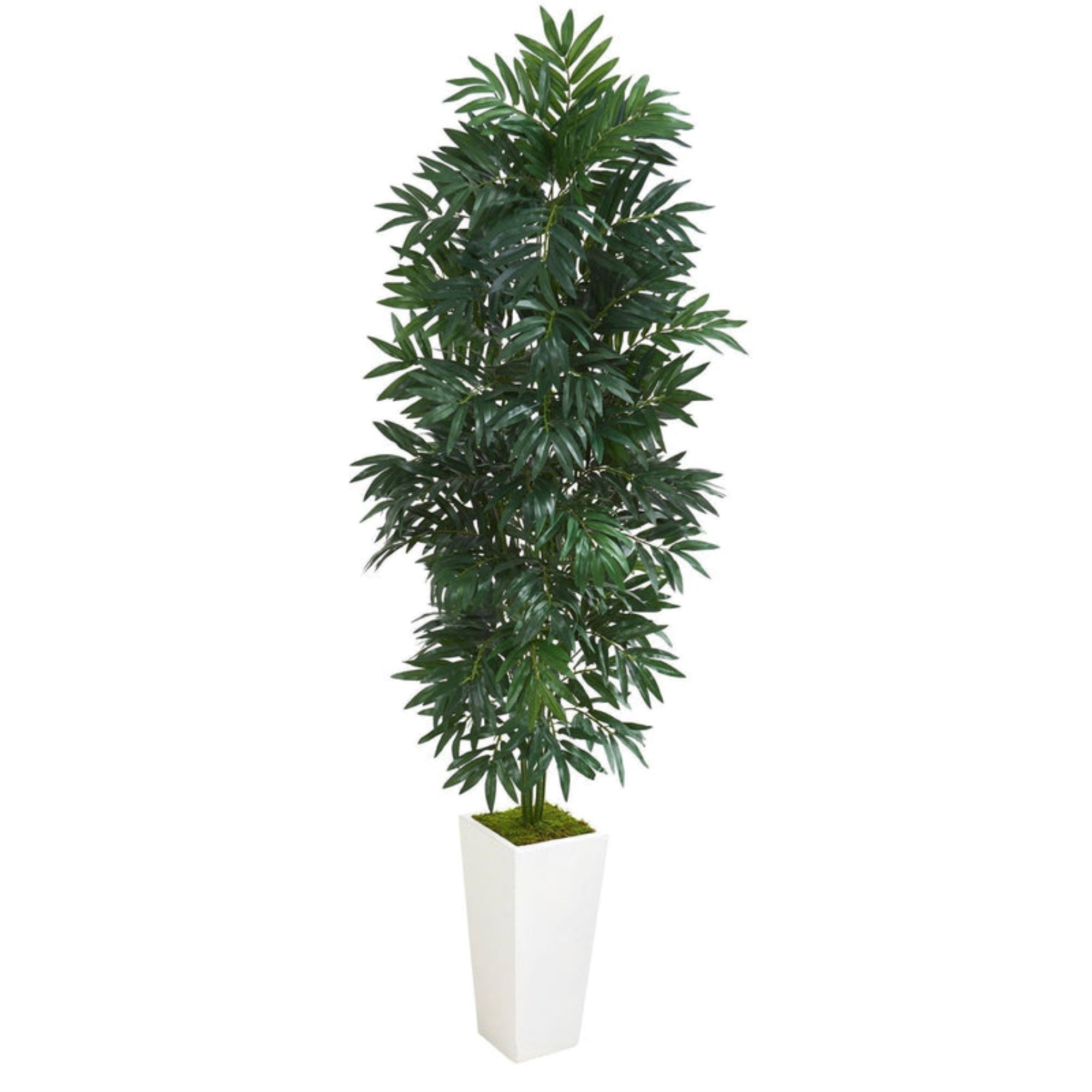 5' Bamboo Palm Artificial Plant in White Planter