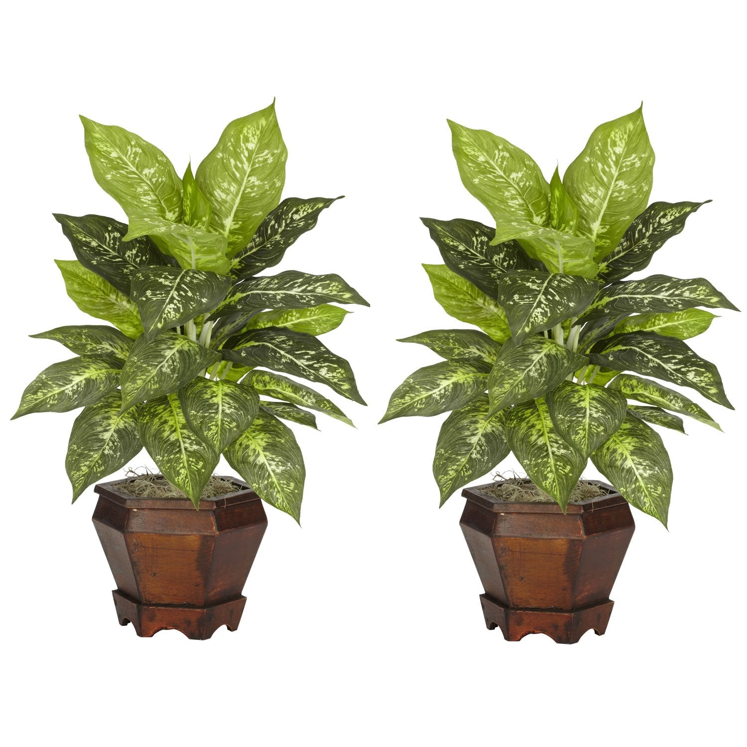 Dieffenbachia w Wood Vase Silk Plant - Set of 2