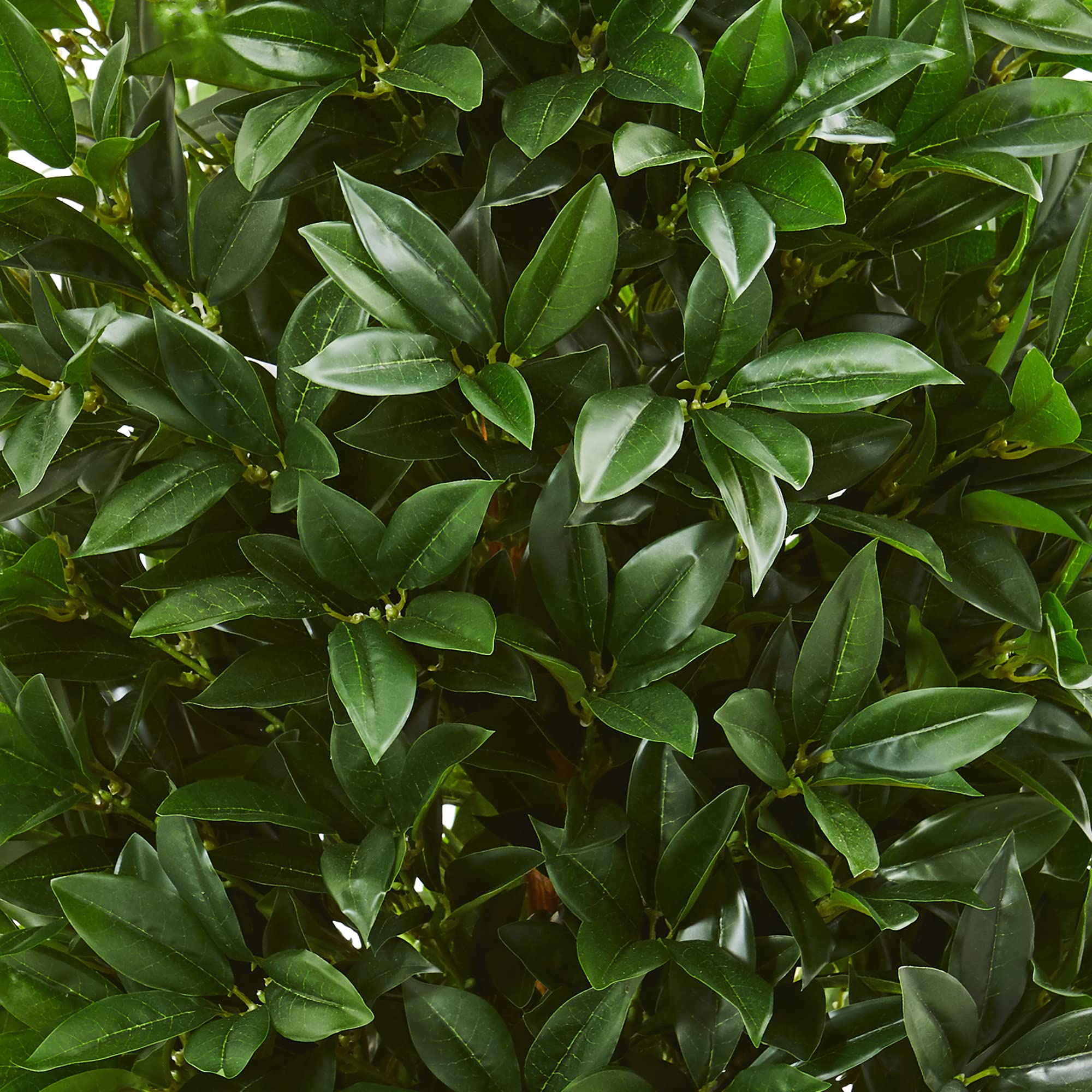 57 Bay Leaf Cone Topiary Tree in Slate Planter UV Resistant (Indoor/Outdoor)
