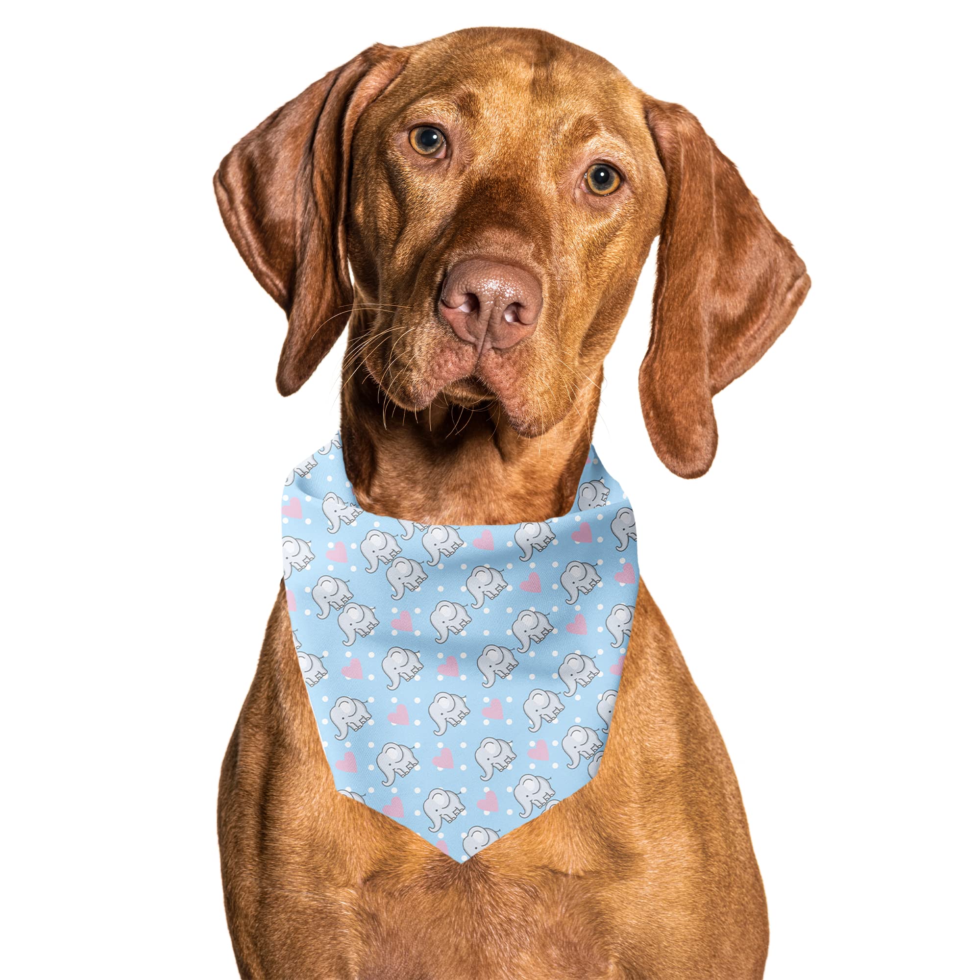 Cutie Ties Tie On Dog Bandana